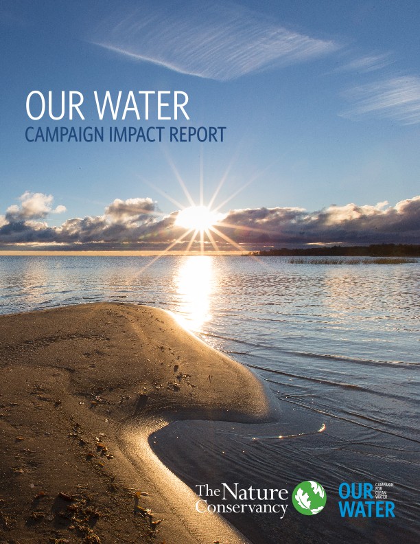 Campaign Impact Report