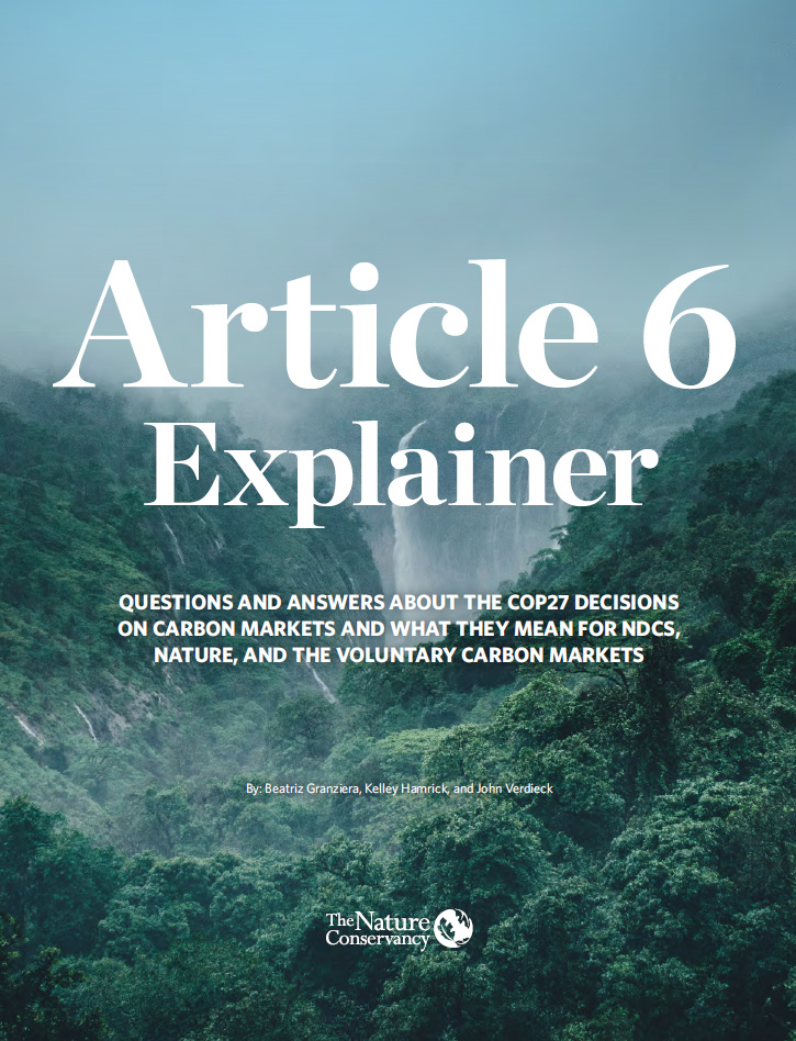 Cover of Article 6 Explainer.