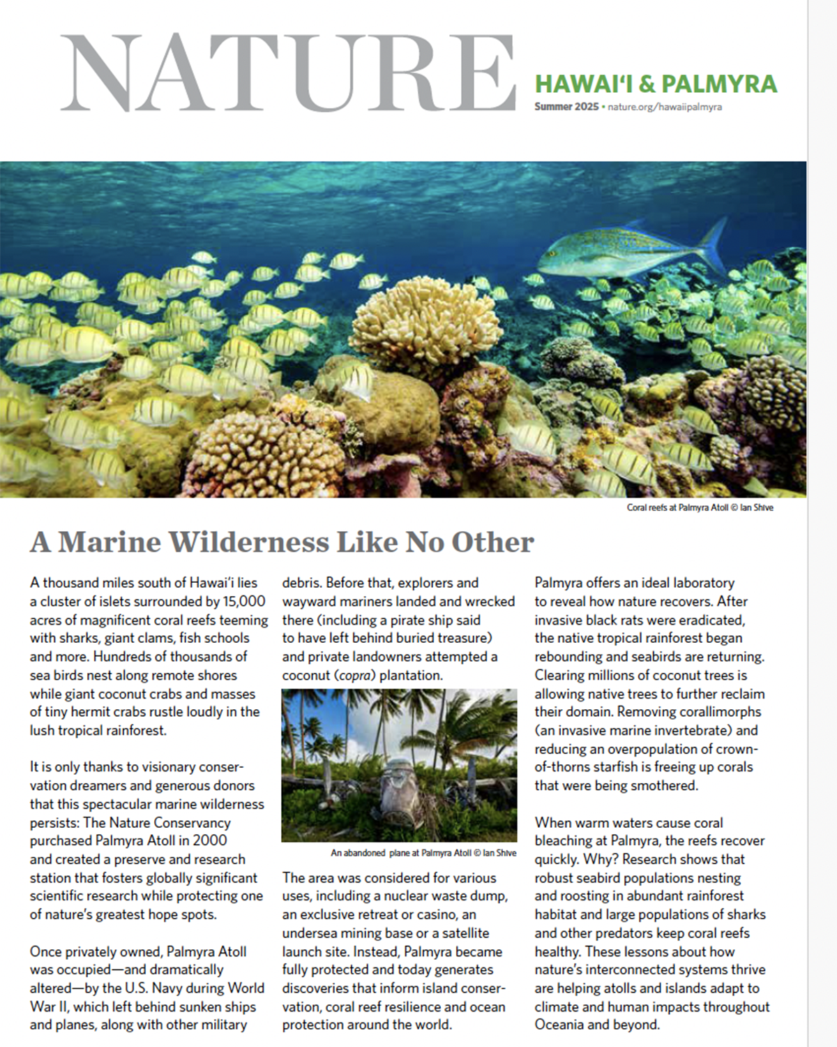 Cover of the 2025 Hawai'i and Palmyra Summer newsletter.