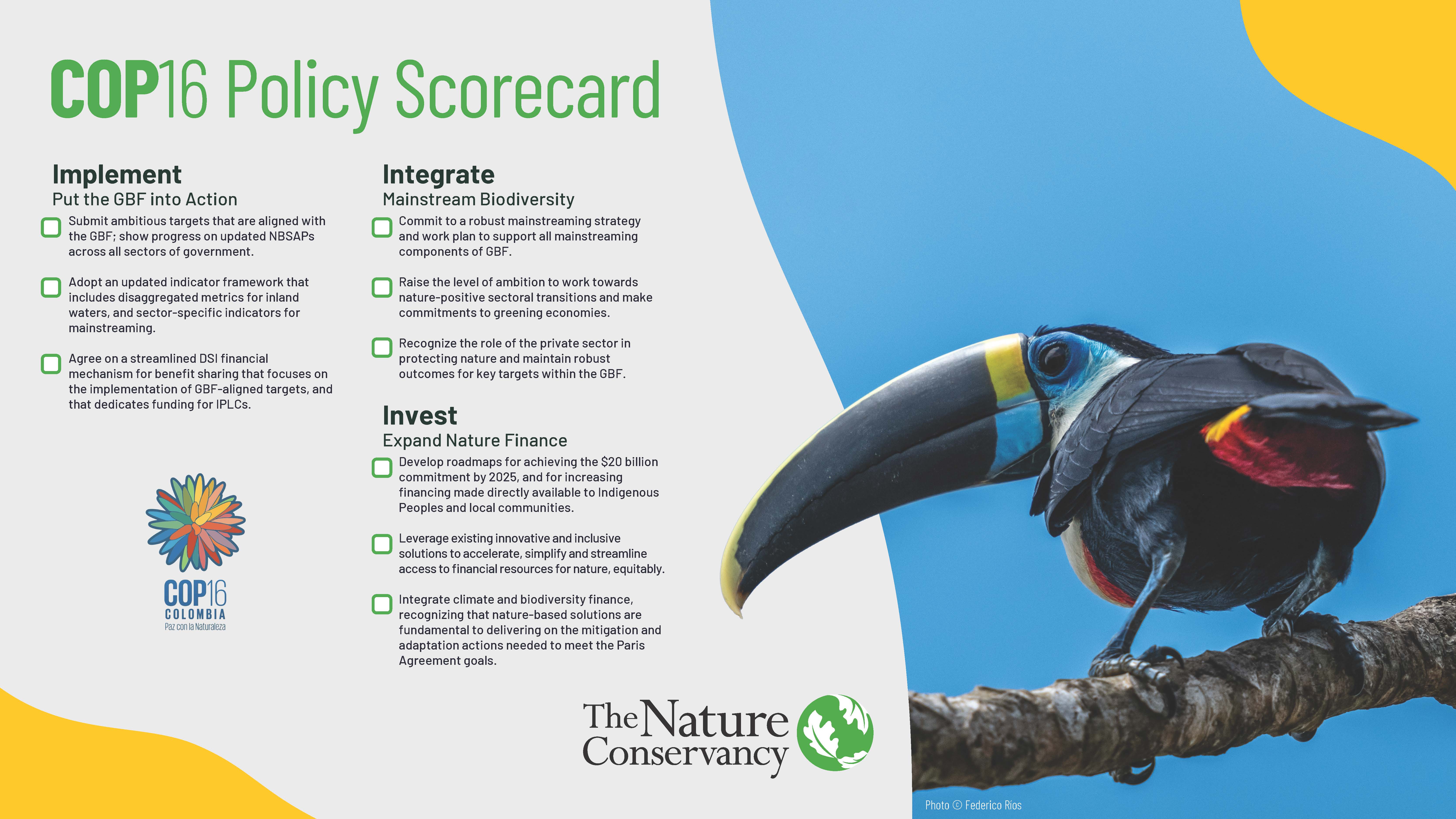 Image of TNC COP16 Policy Scorecard.