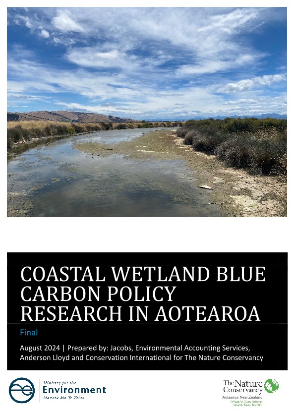 Cover of the Coastal Wetland Blue Carbon Policy report.