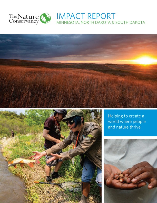 Cover of the 2024 impact report.