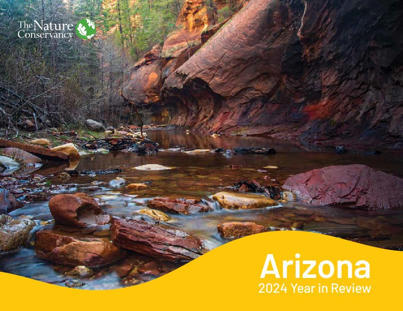 View of water flowing over rocks in a creek.