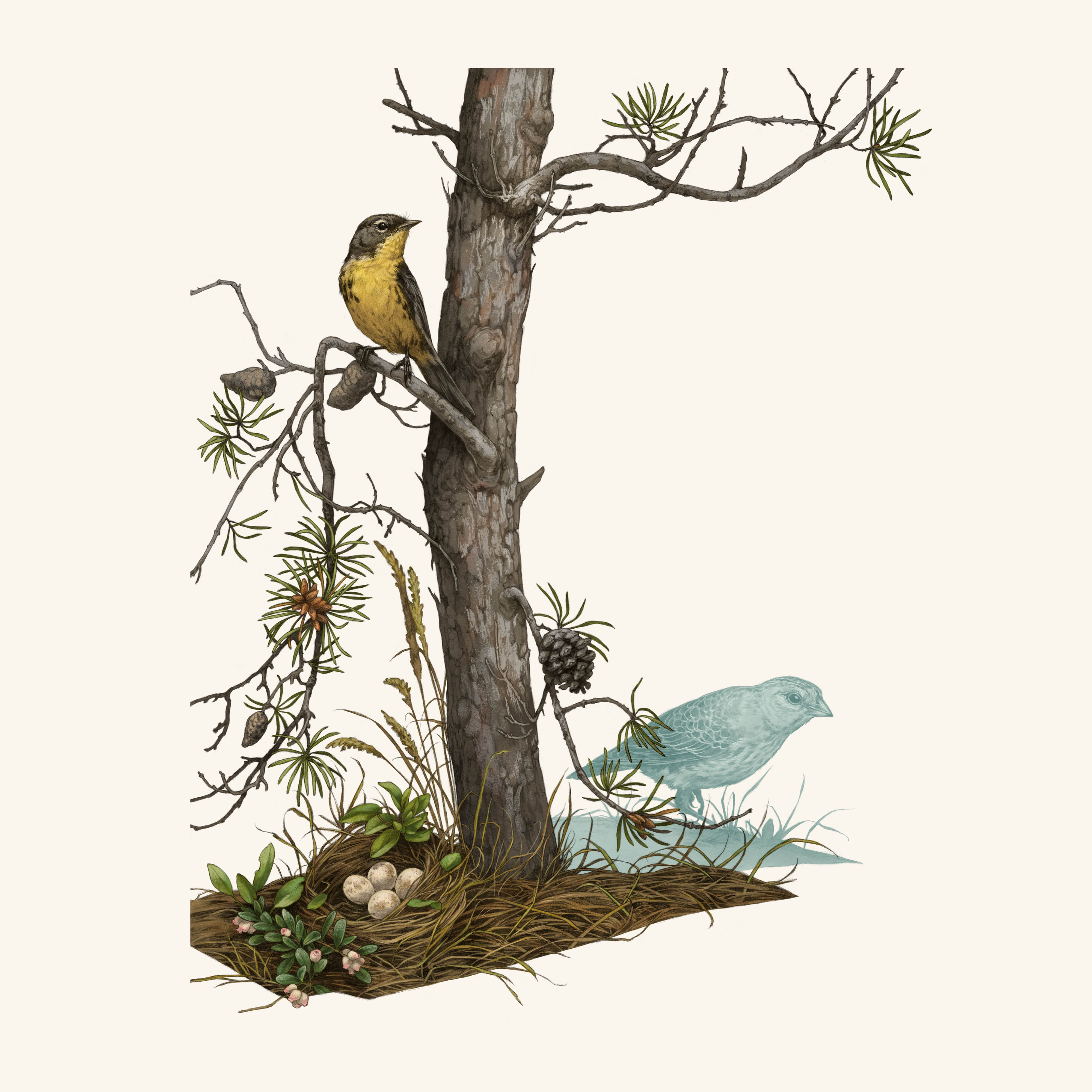 illustration of a yellow bird sitting on a branch in a sparse looking tree.