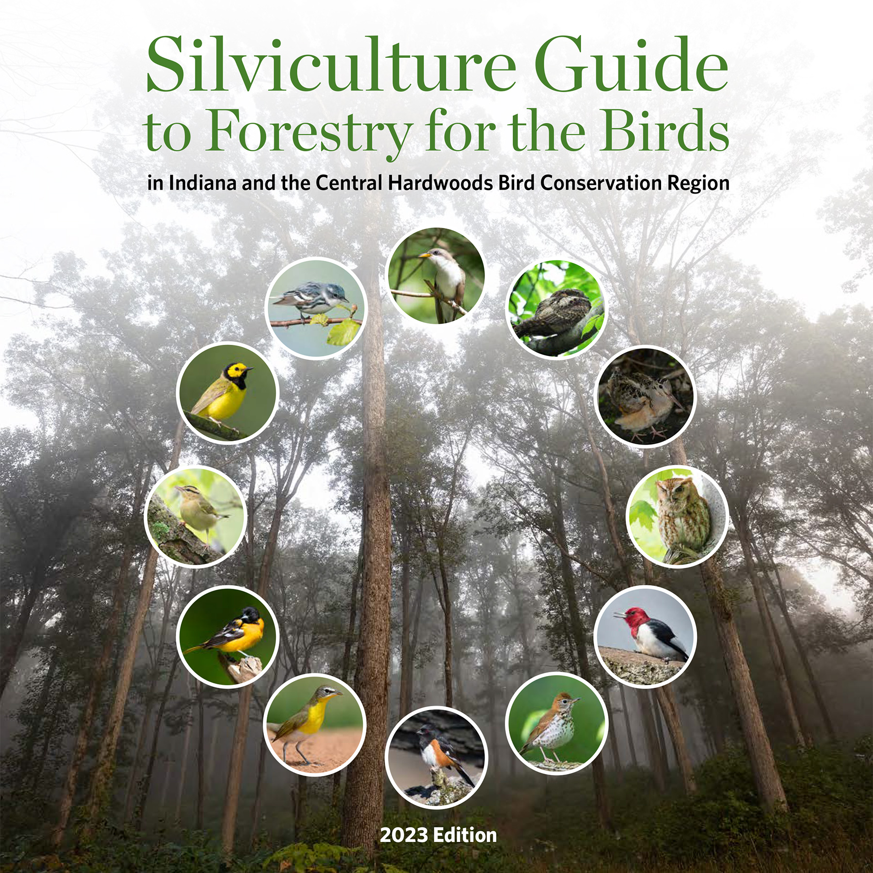 Cover for Forestry for the Birds Silviculture Guide