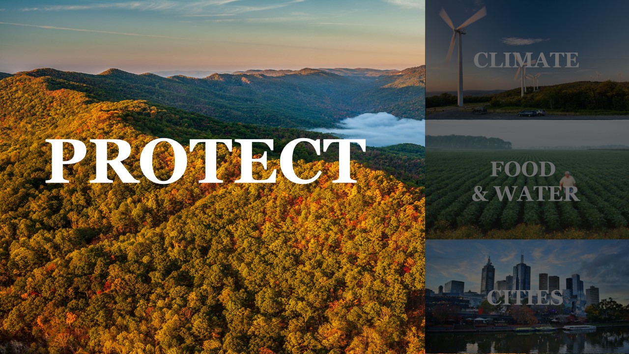 State of The Nature Conservancy 2019