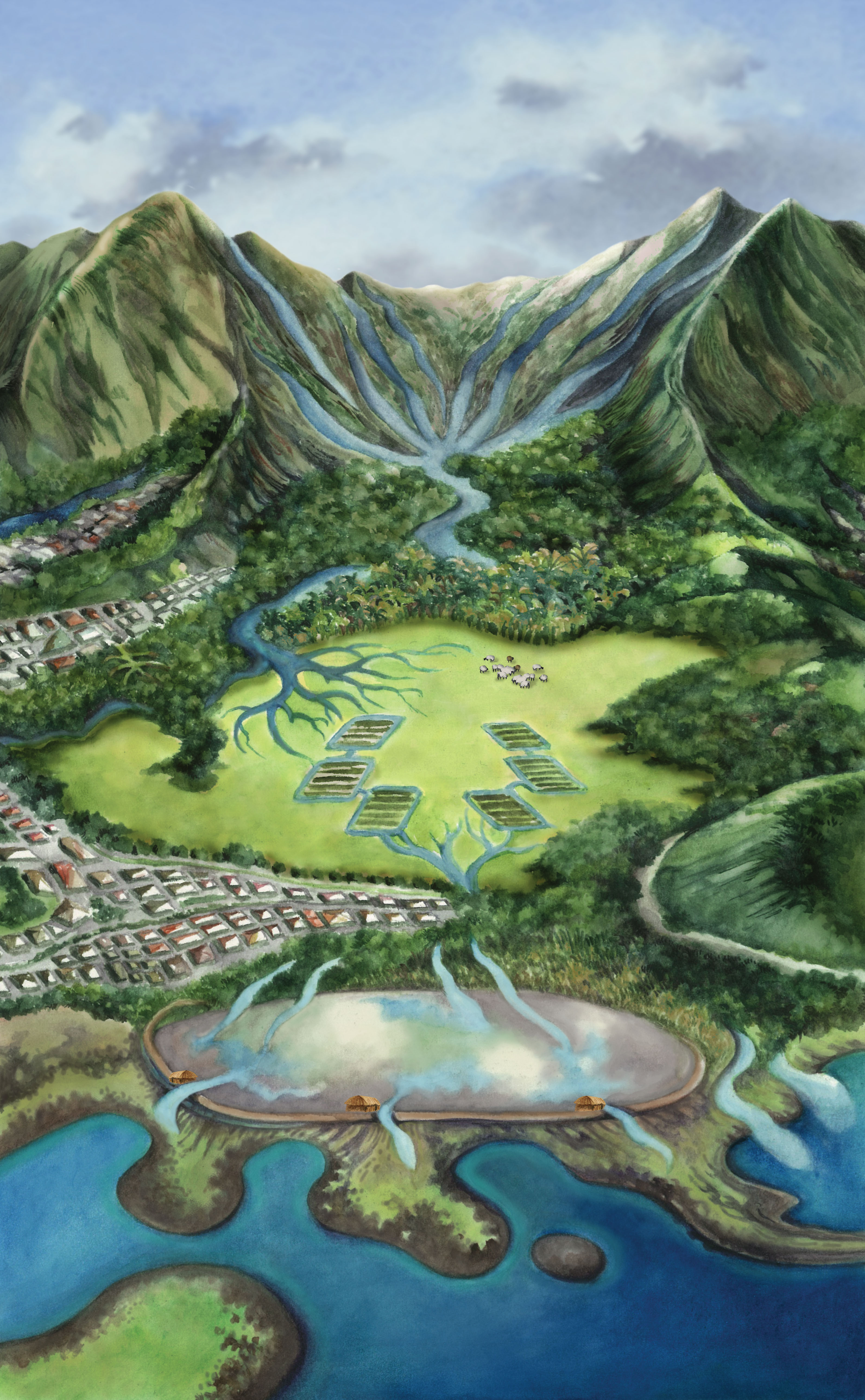Illustration of He‘eia ahupua‘a with eight streams flowing from the mountains and converging into one before flowing through the wetlands, taro fields and fishpond and into the sea.