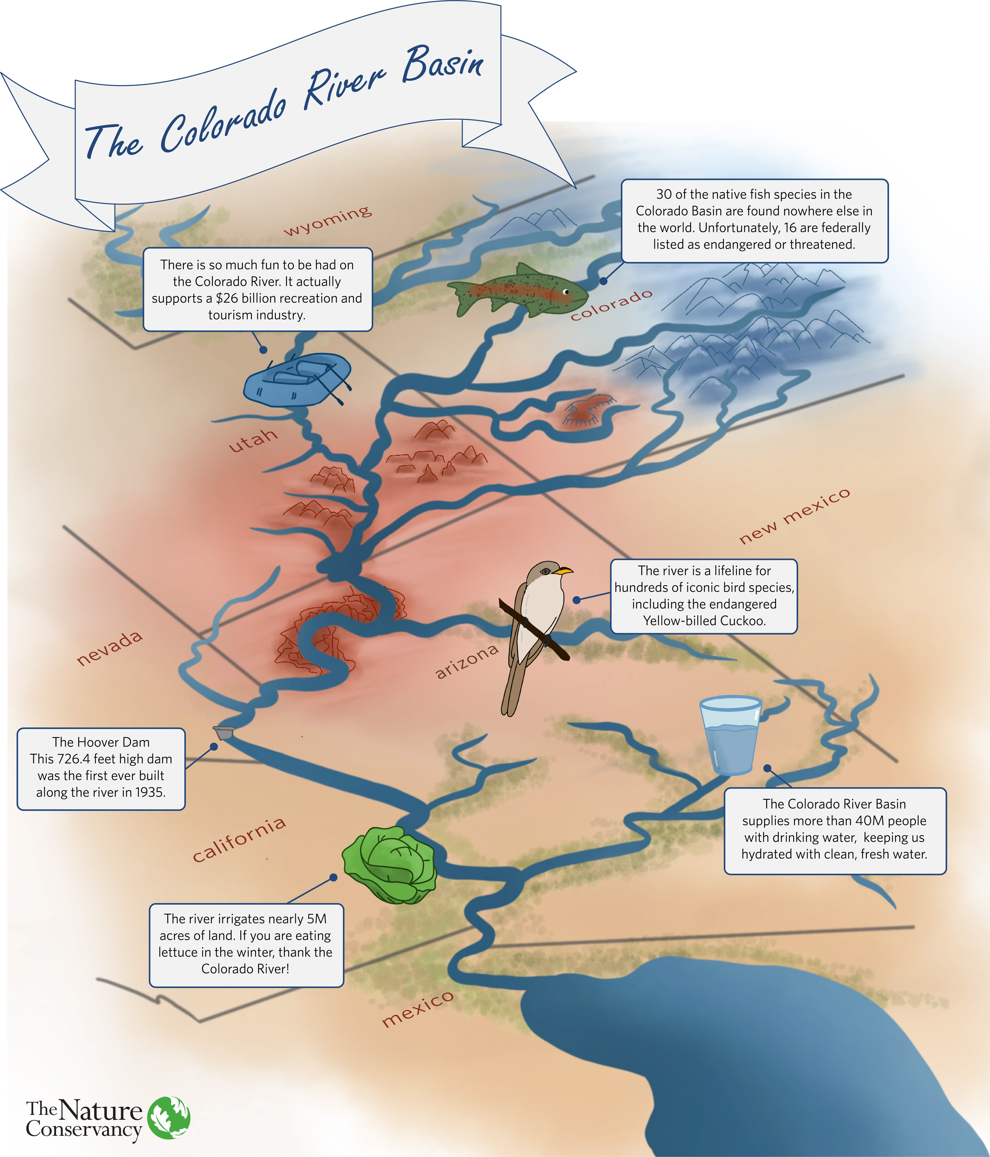 A schematic map showing the Colorado River.