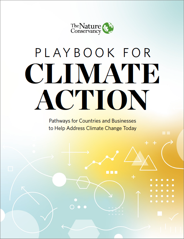 thumbnail with text 'playbook for climate action'
