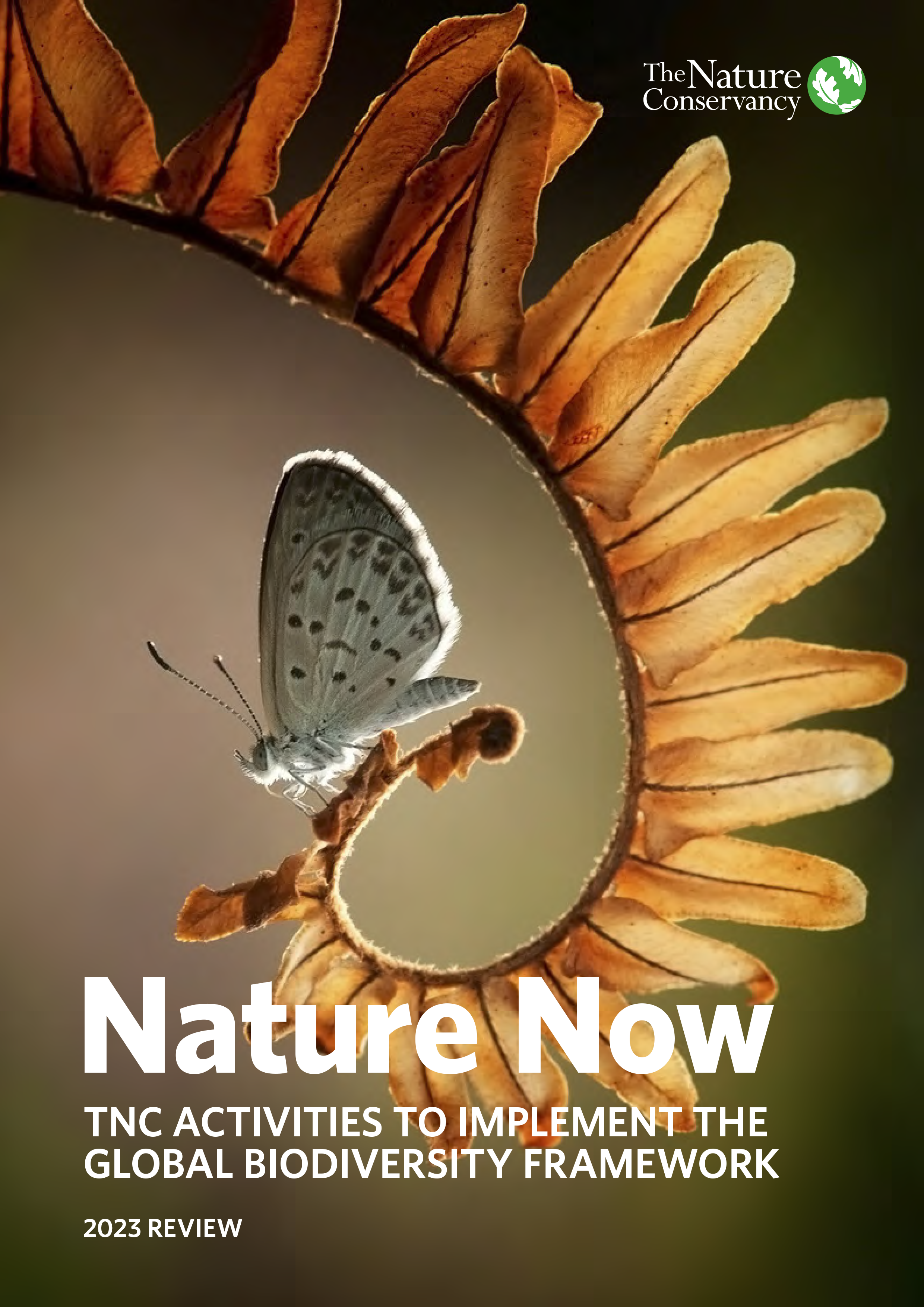 Nature Now 