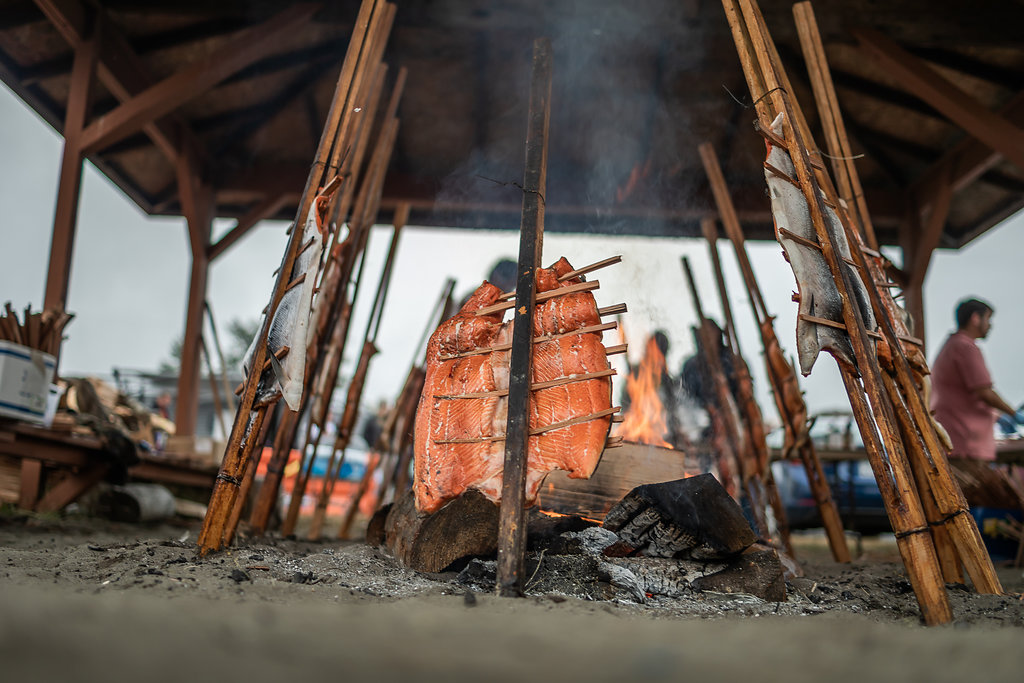 Salmon filets smoke over an open fire.