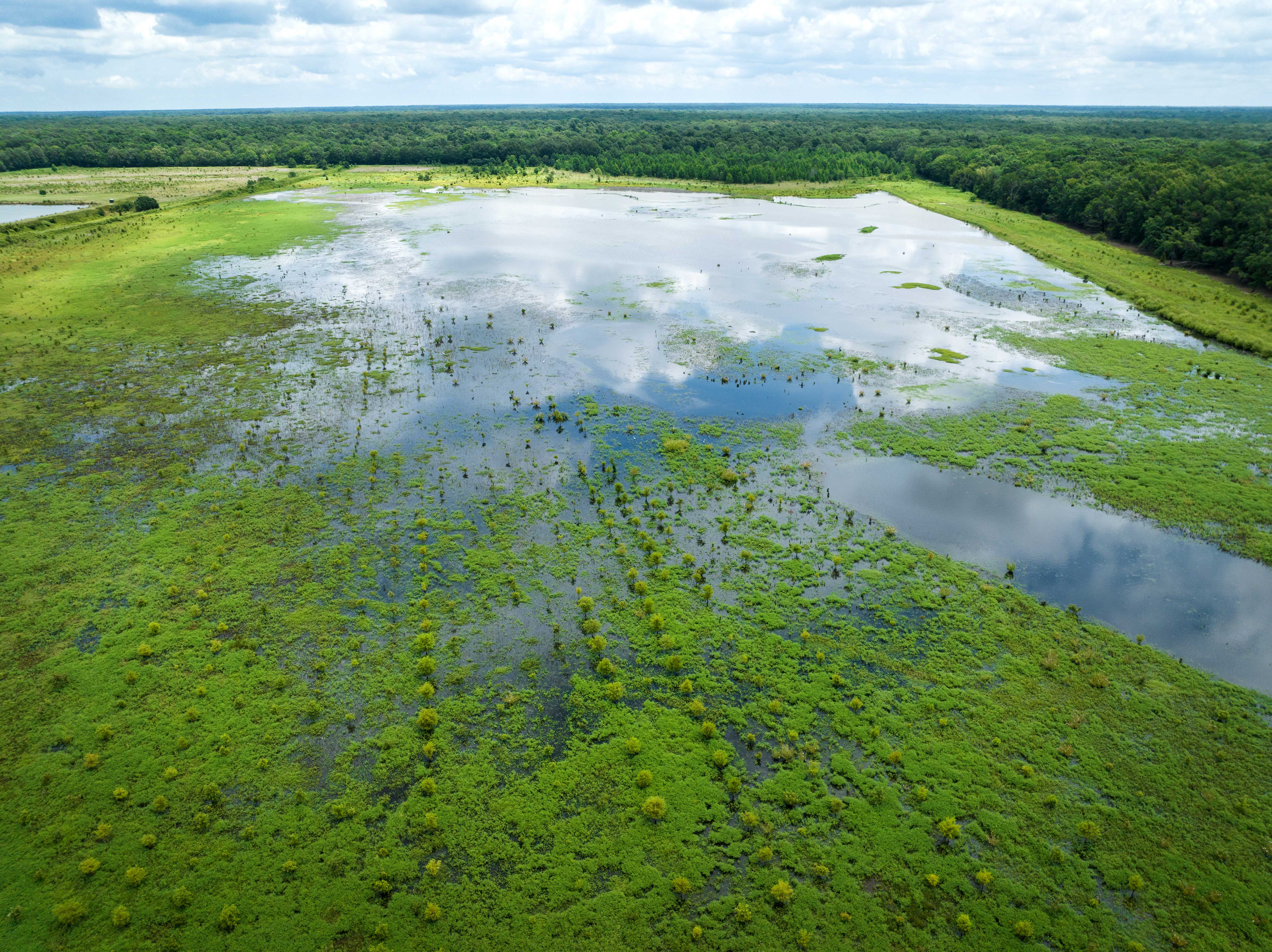 floodplain