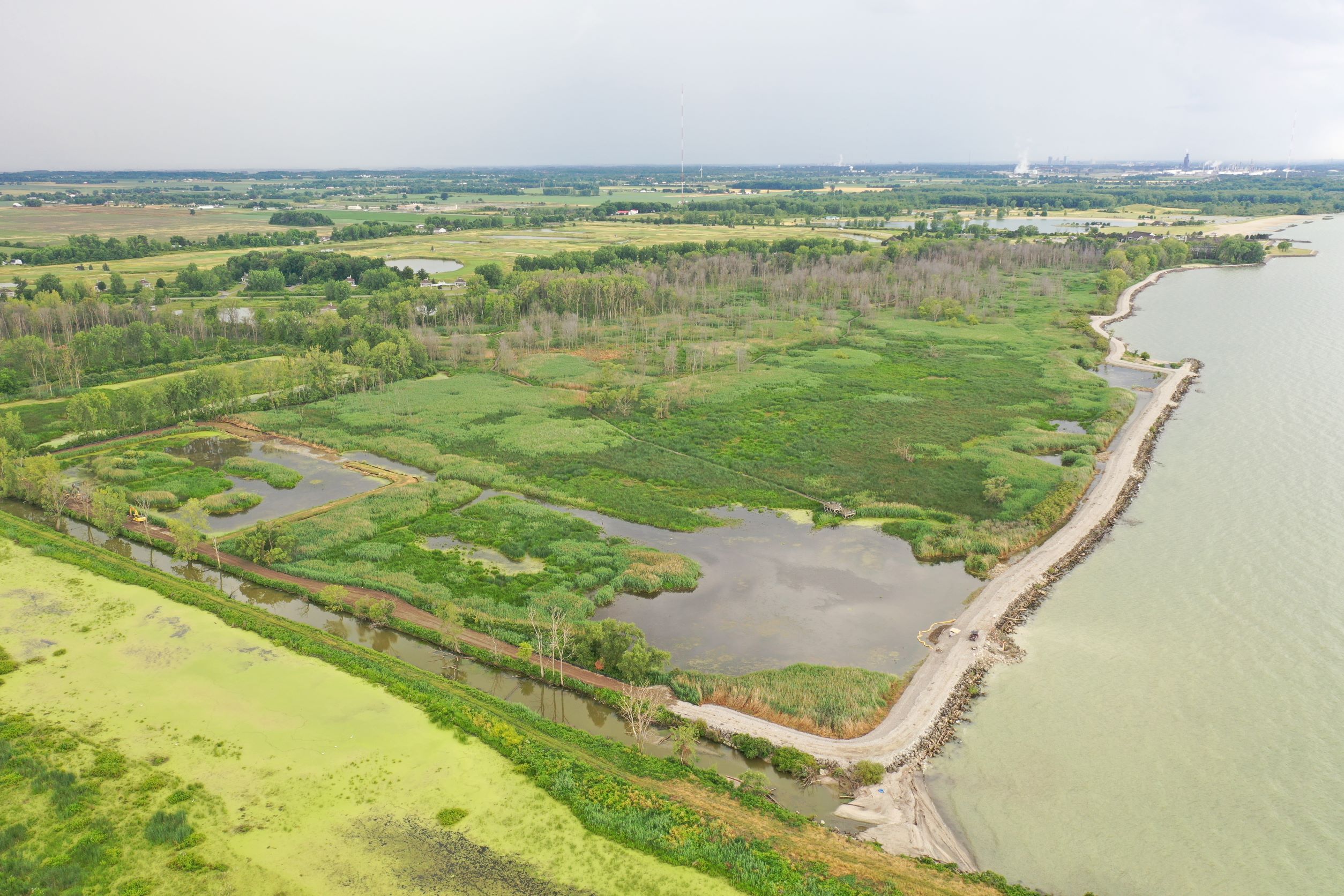 Aerial view of coastal wetland habitat with Lake Erie in background.