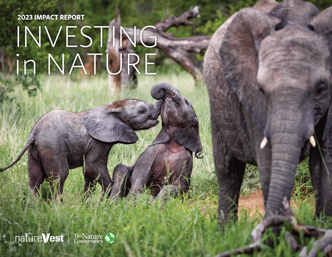 This report reveals how TNC and private sector investors are working together to help reshape our economic landscape in favor of nature. 