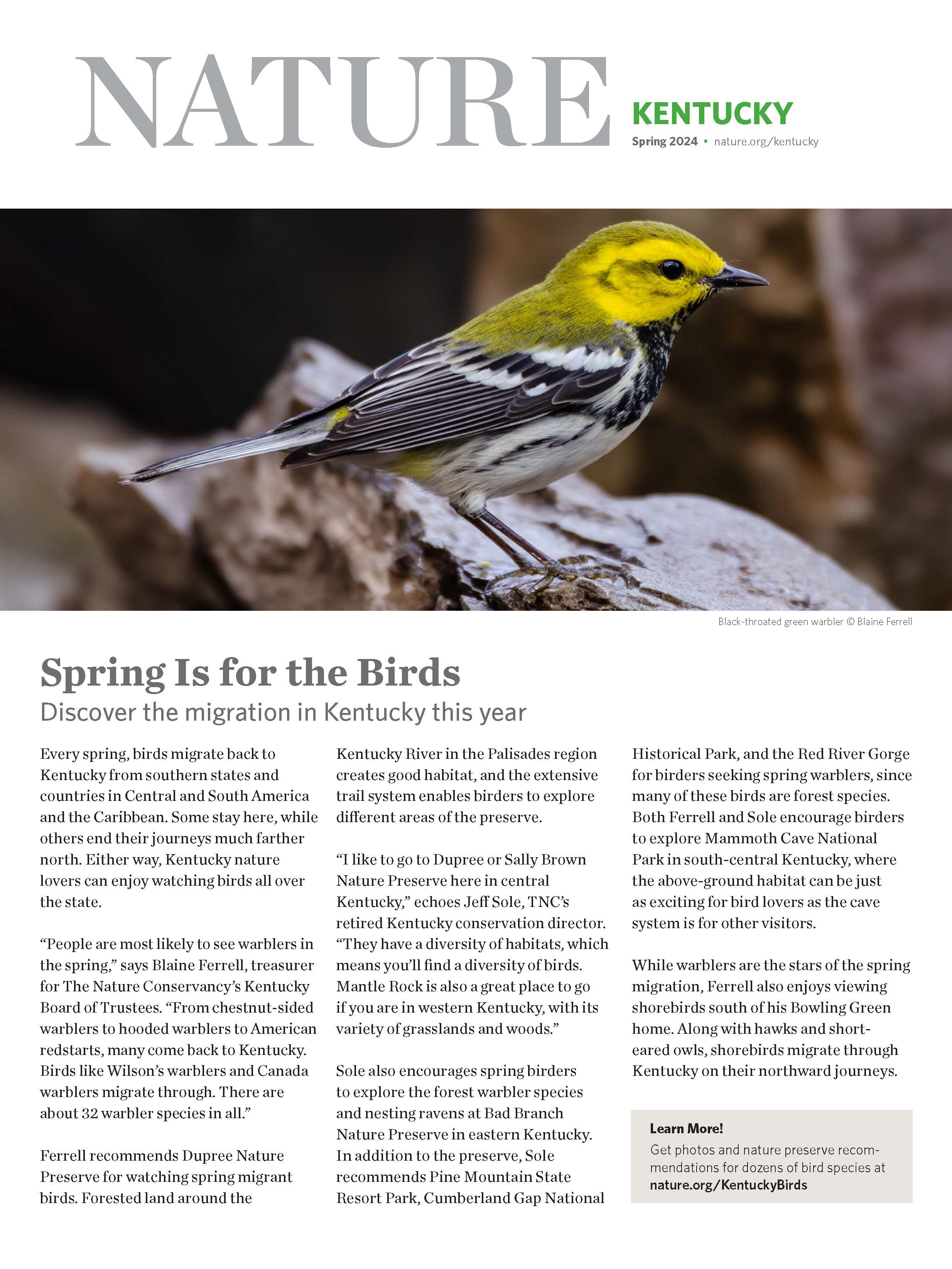 Page 1 of TNC in Kentucky's magazine insert with a yellow and black bird at the top and text underneath.
