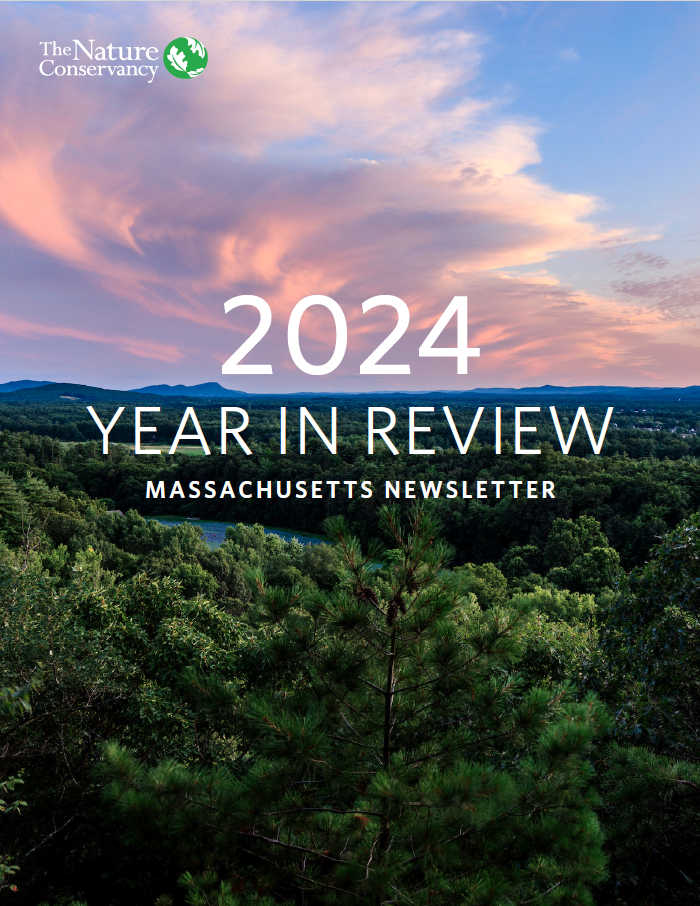 Cover of the 2024 Massachusetts Newsletter