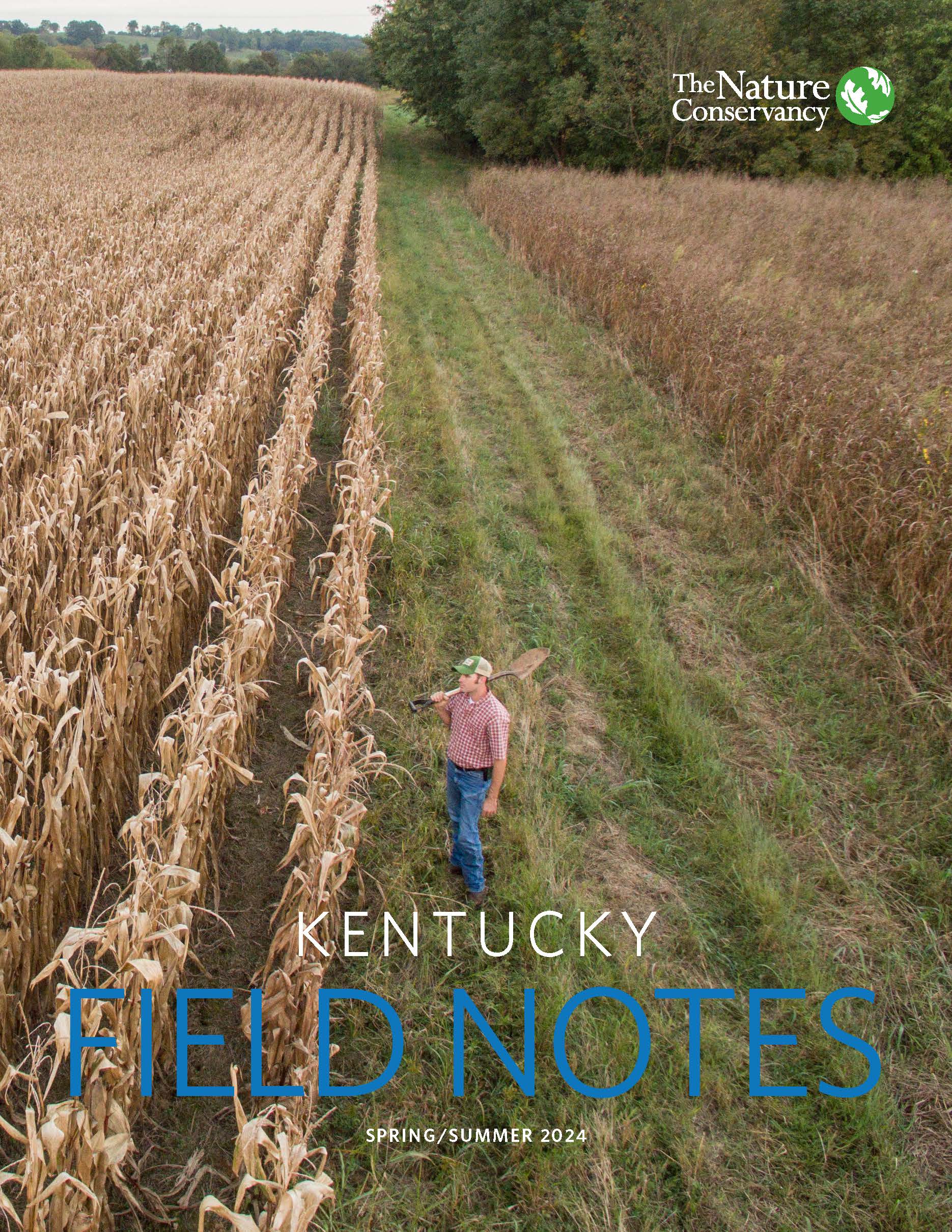 A farmer stands in his Kentucky field.