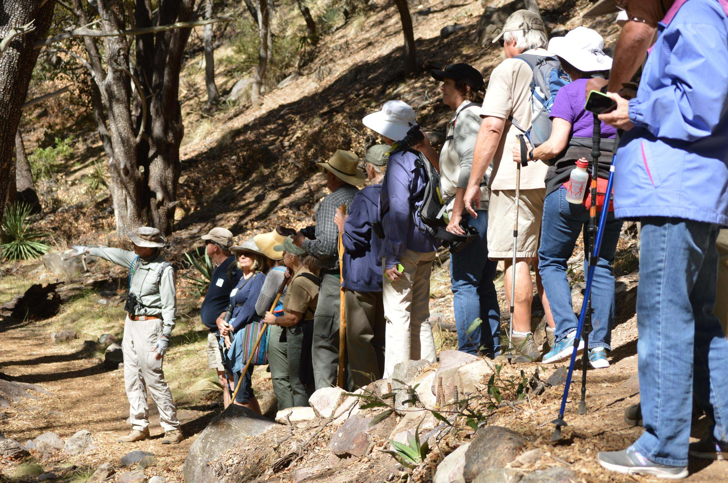 A group a hikers stand in a single-file line with the guide points in the direction ahead.