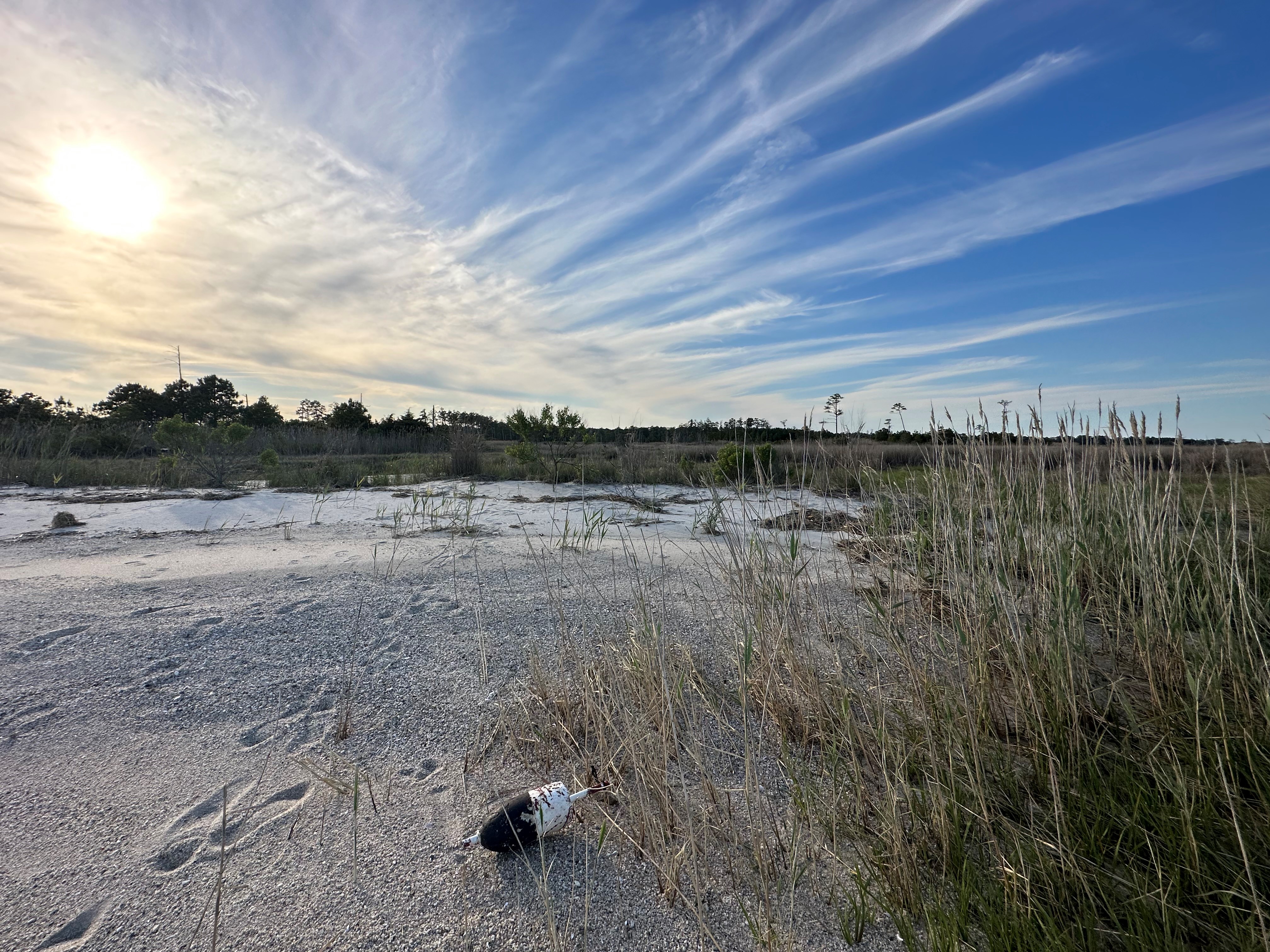 A wide expanse of sand stretches towards a horizon lined by trees. Tall grasses grow along the edge of the sand next to a small, discarded fishing float. Thin white clouds streak the blue sky.