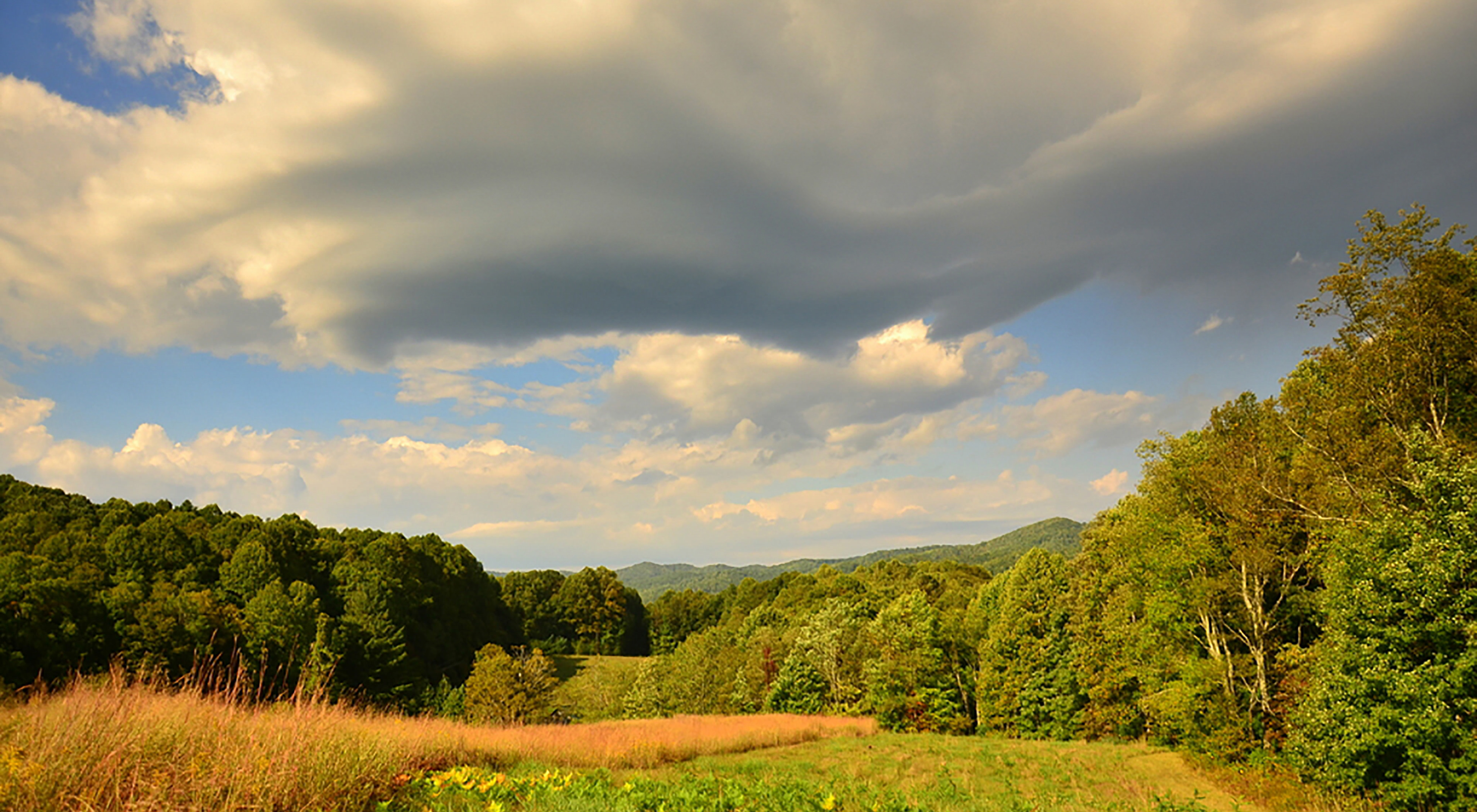 White clouds hover over a forest and field.