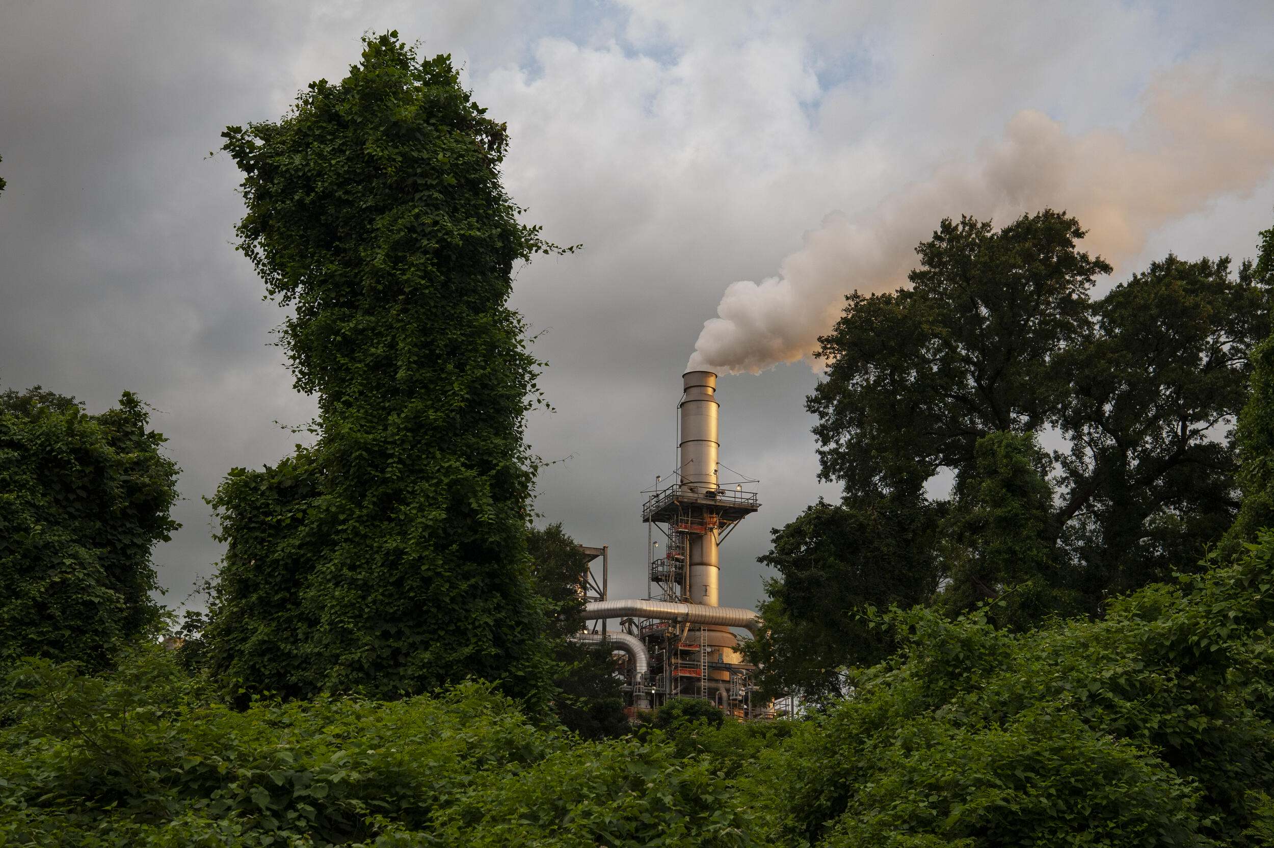 industrial smoke pipe through foliage.