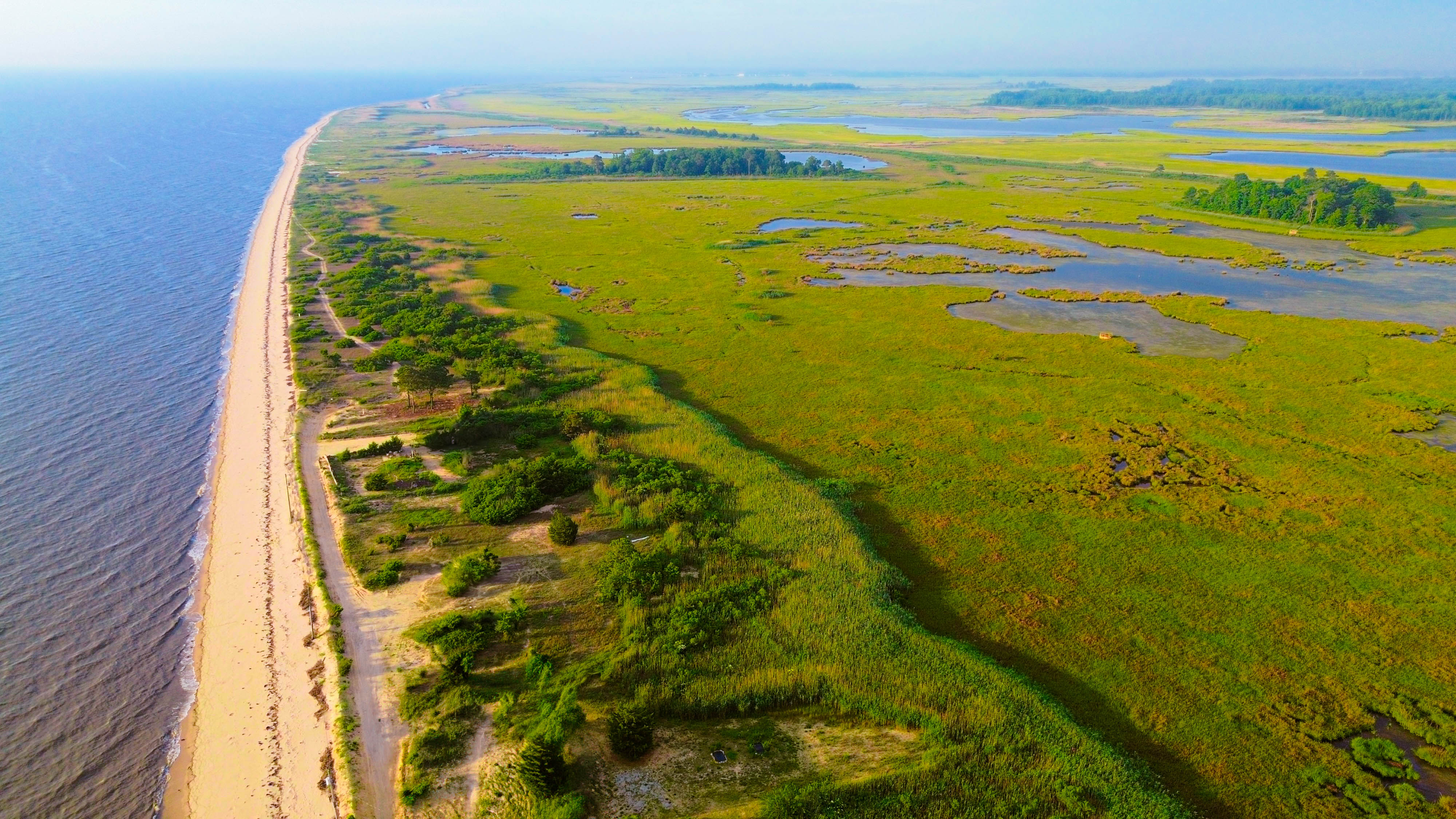 An aerial photo of a body of water against a tree line.