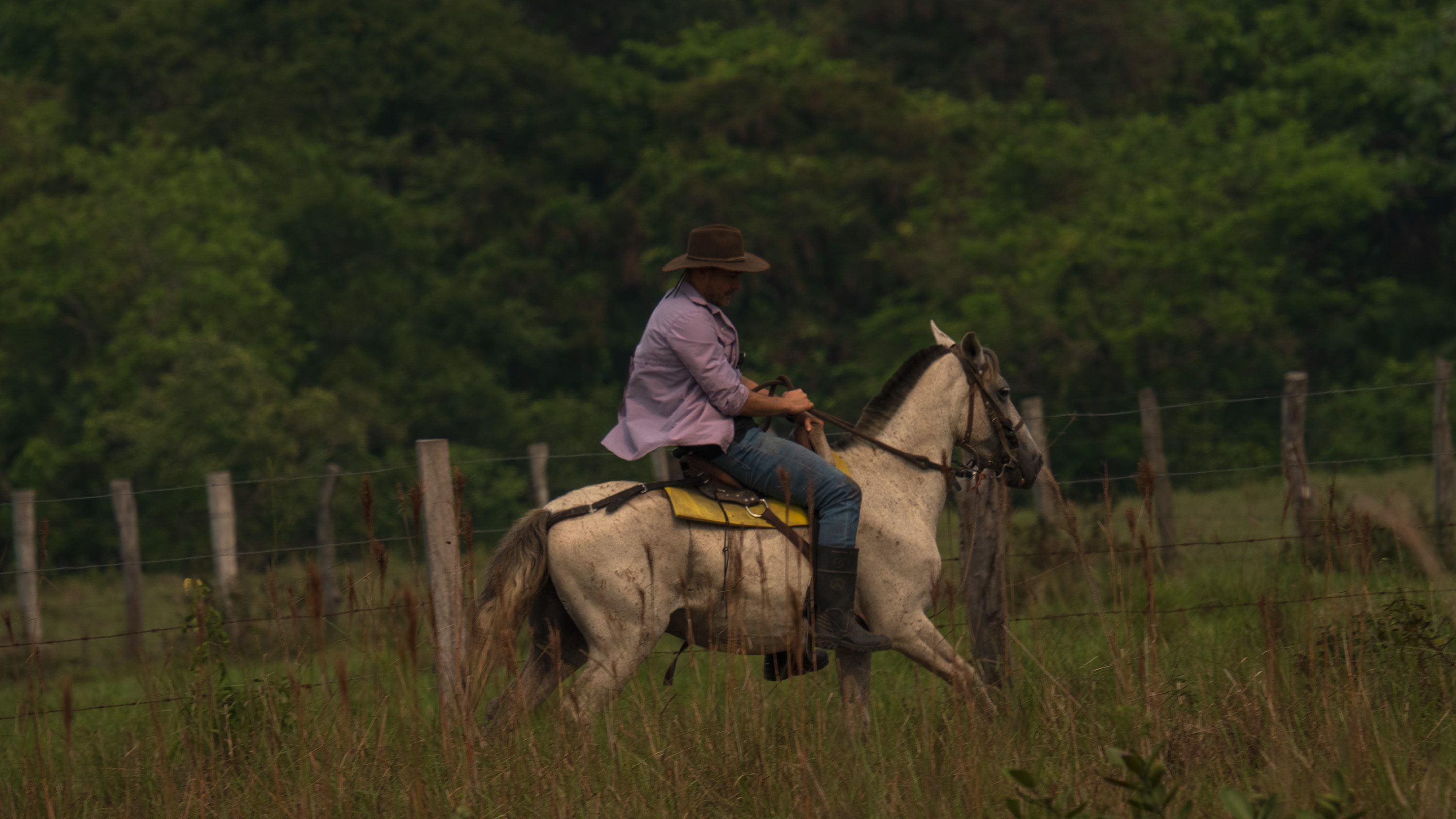 Mauro Salazar, embajador TNC Colombia, recorre la Orinoquia en Reto Aventura, la serie.