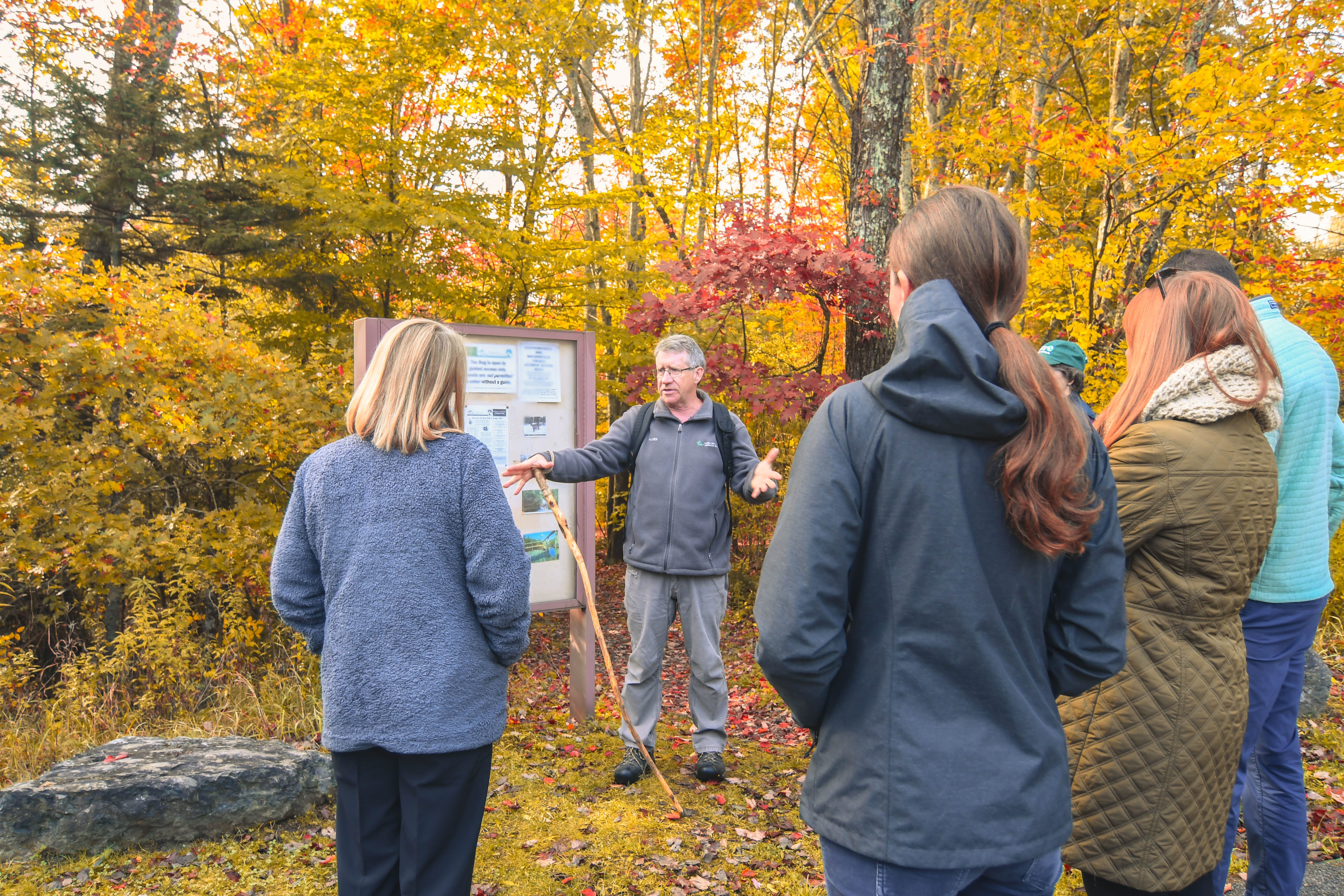 A person standing infront of a wooden kiosk in the forest stands facing the camera, addressing a crowd with their backs turning to the camera.