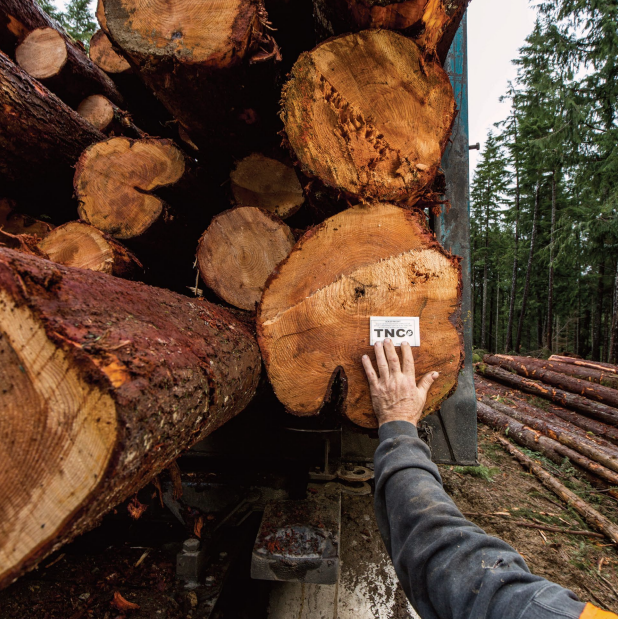 Logging truck driver attaching a Conservancy ticket to a load of trees at the Ellsworth Creek Preserve,