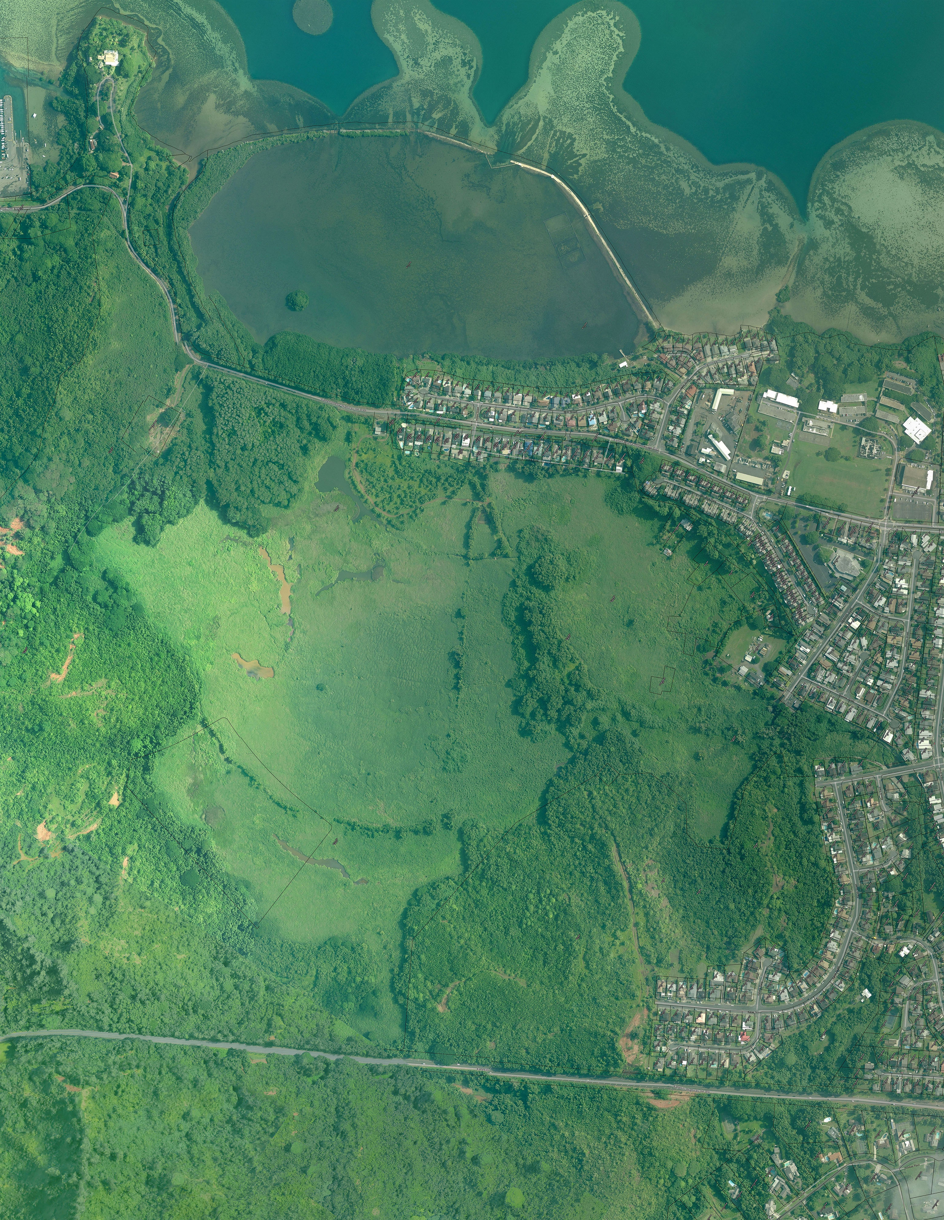 Circa 2000 color satellite image of urban development bordering uplands, wetlands and a fishpond and invasive mangroves covering acres of the wetlands and surrounding the fishpond.