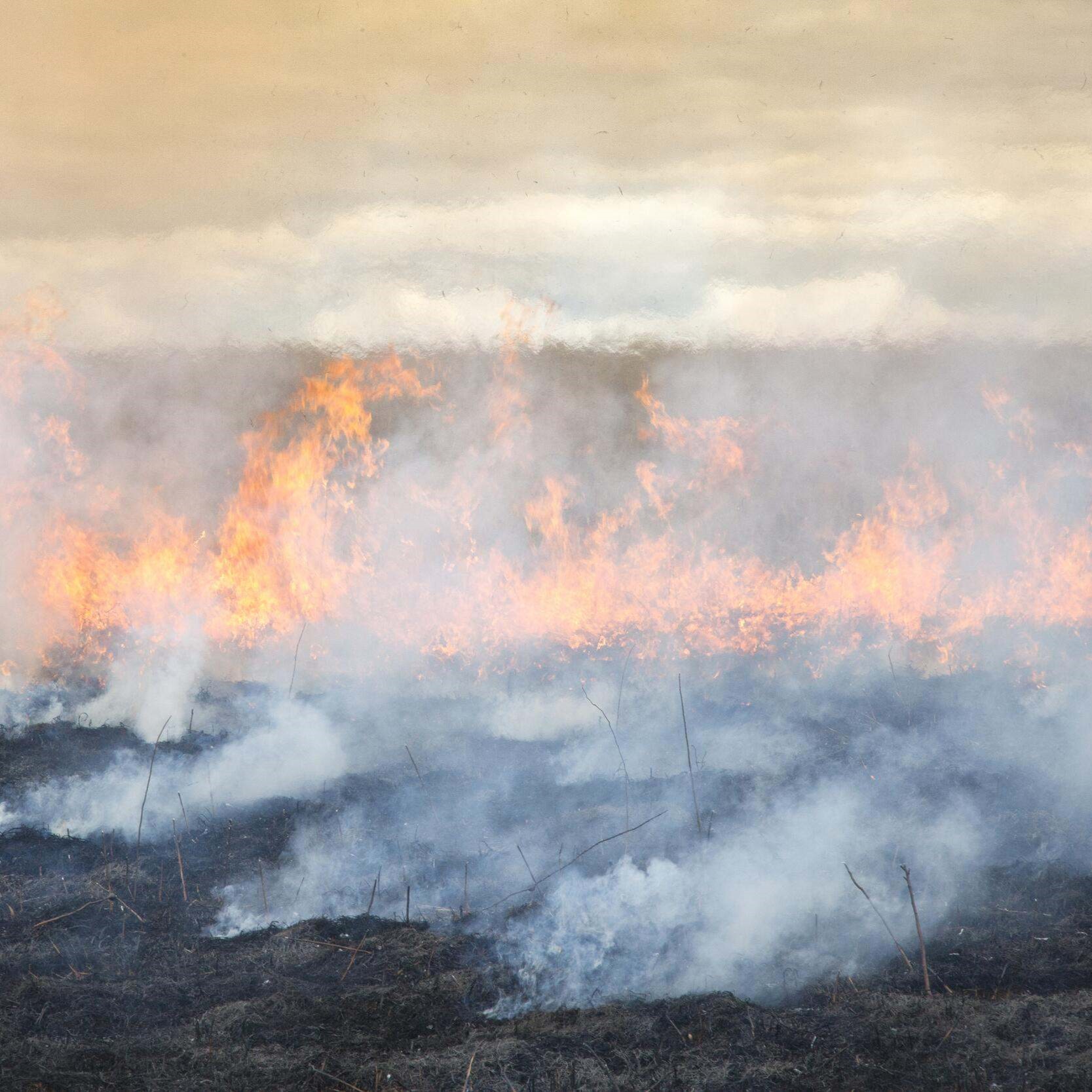 Fire and smoke in a grassland.