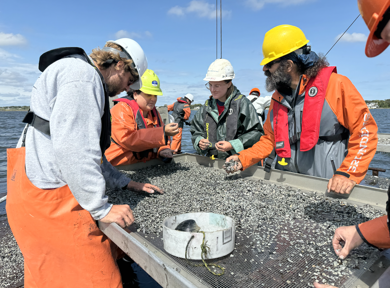 A group of scientists wearing hardhats and fluorescent orange stand on a boat surrounding a wire tray. The tray is covered in white shells. The ocean is in the background.