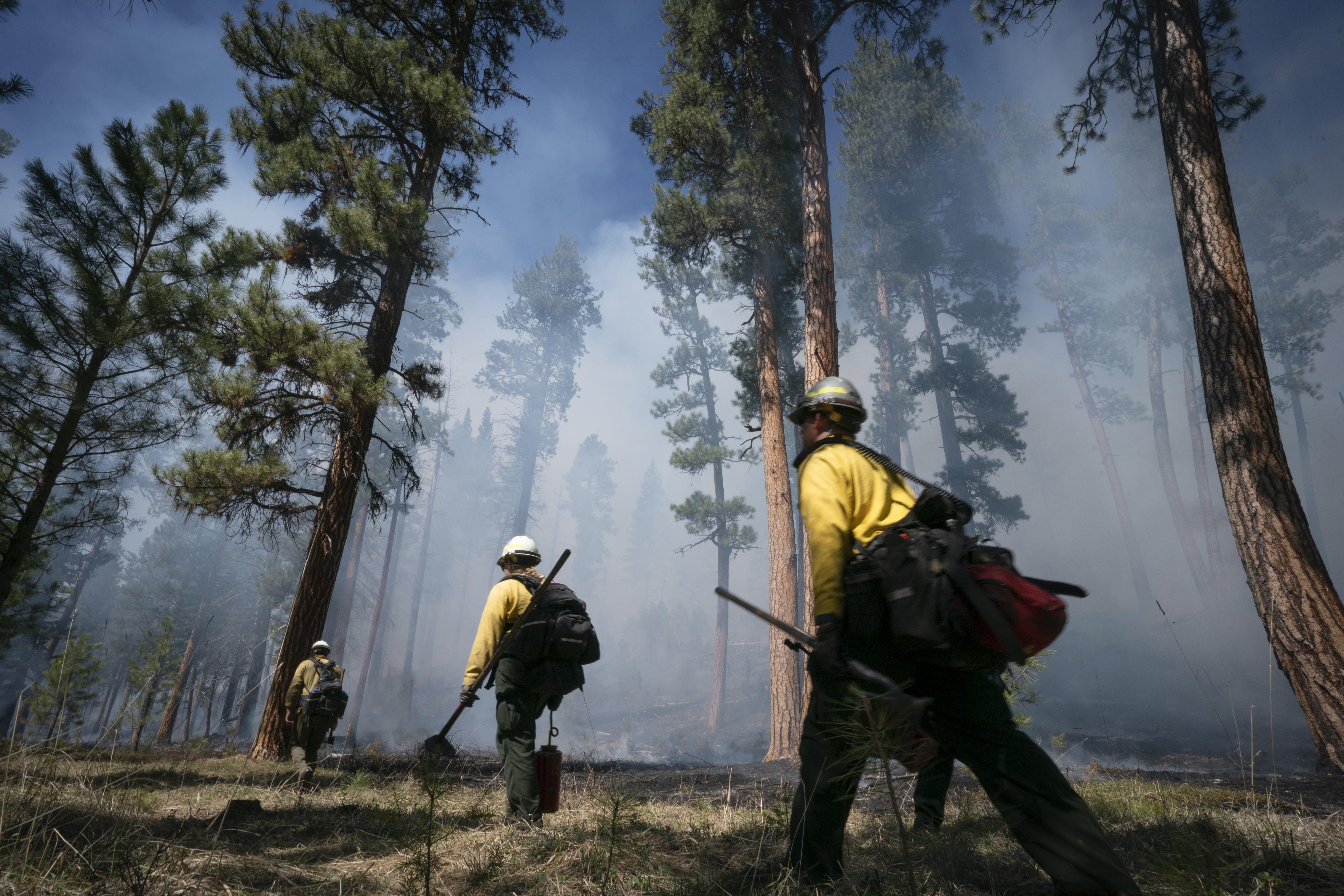 A fire crew walks the fire line on a controlled burn in western Montana.