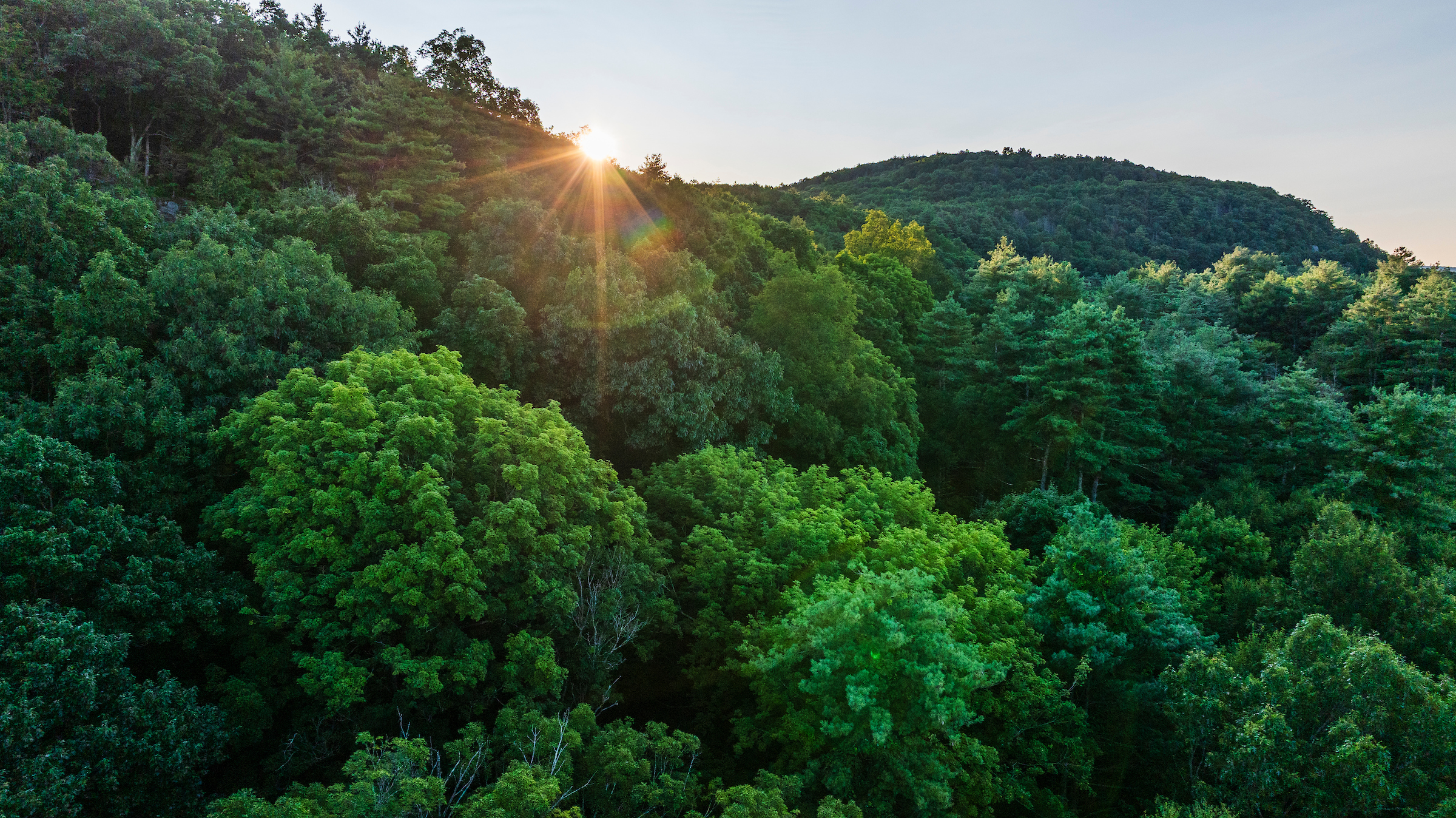 Horiztonal image of a Western Massachusetts forest in summer time. The sun rays peak out from a ridge line and there is a small mountain top on the right.