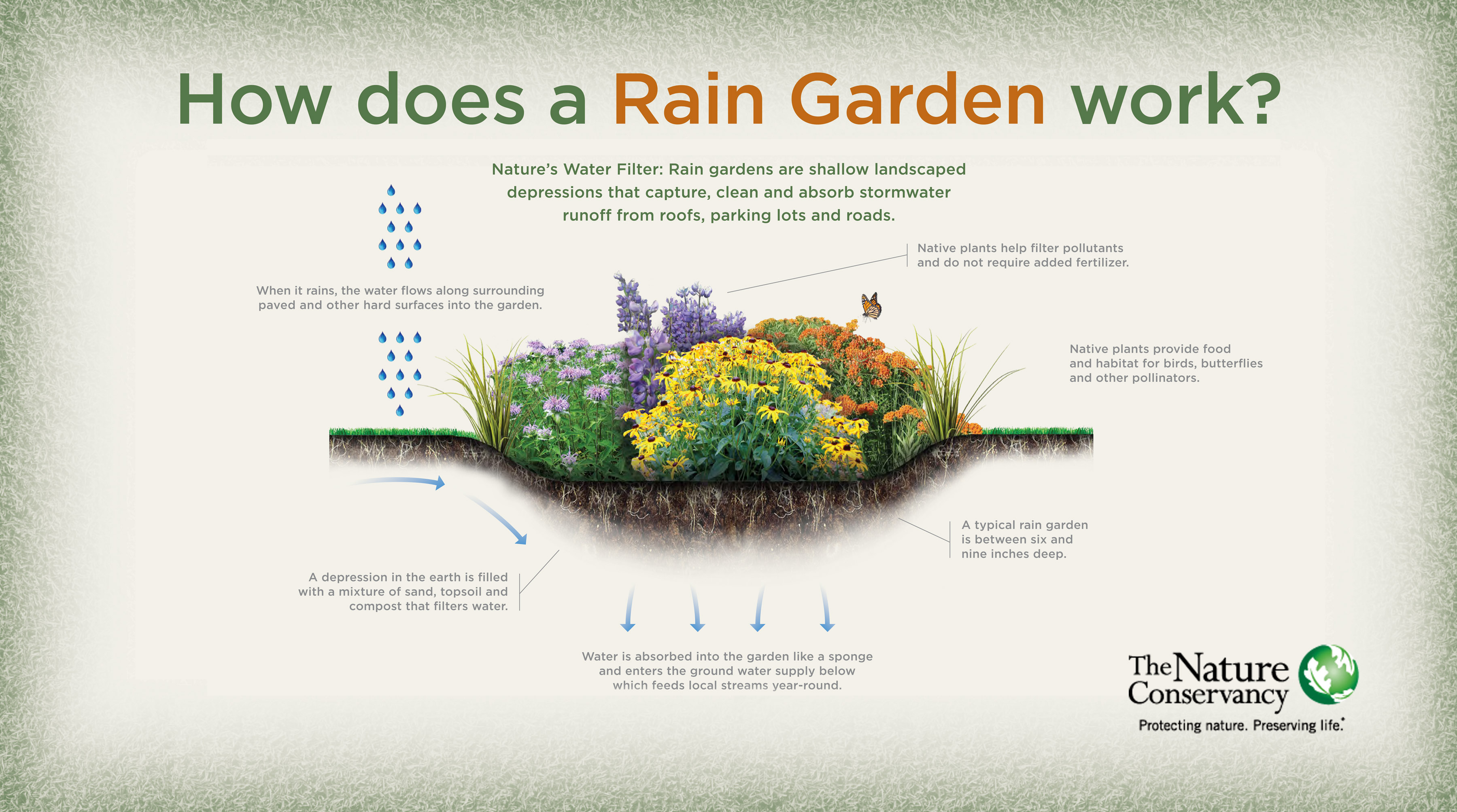 Rain Garden for Pollinators Kit