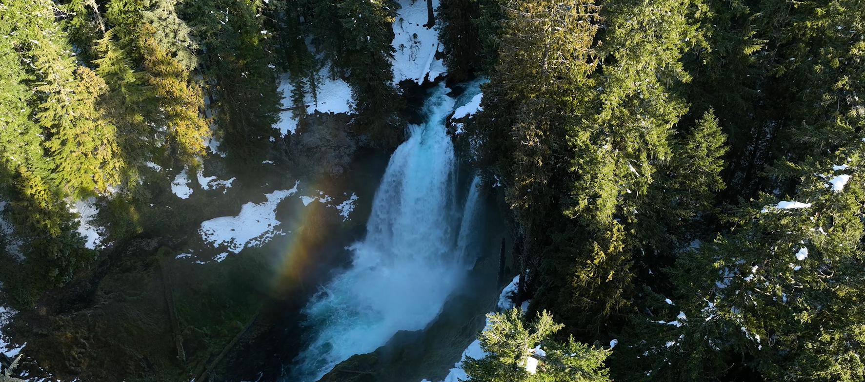 A waterfall flowing through a forest.