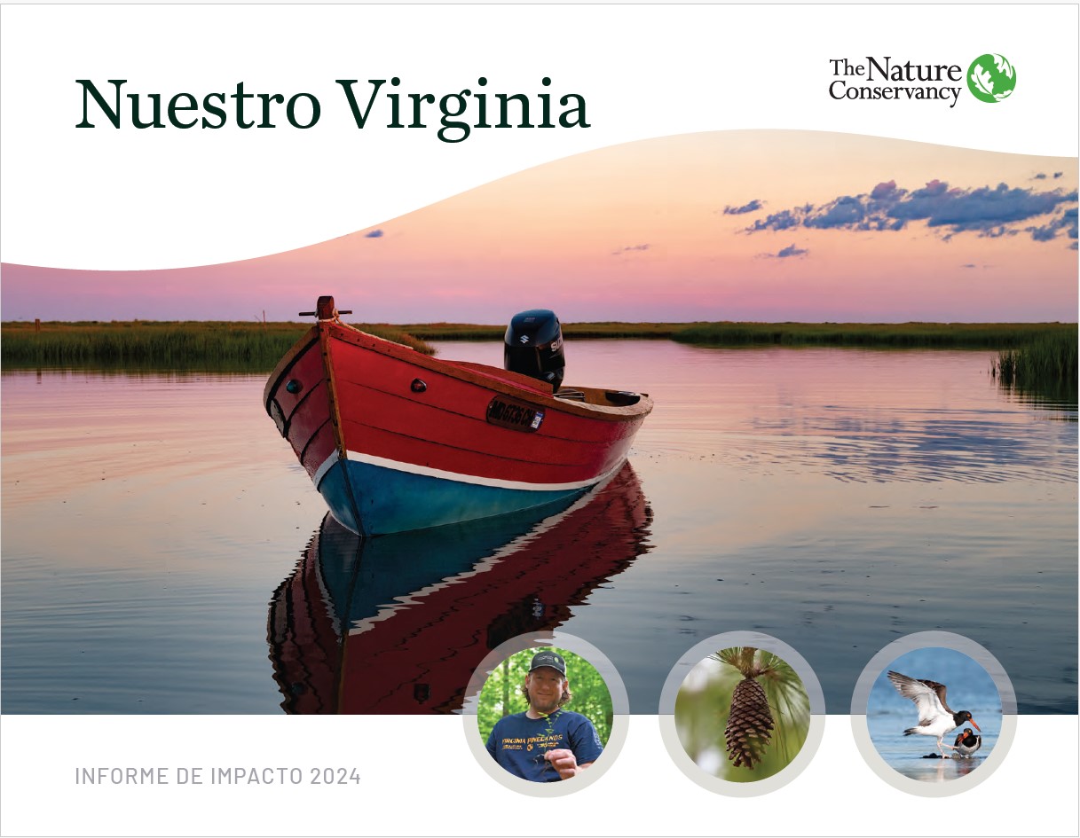 Cover of the 2022 Virginia Impact Report in Spanish.