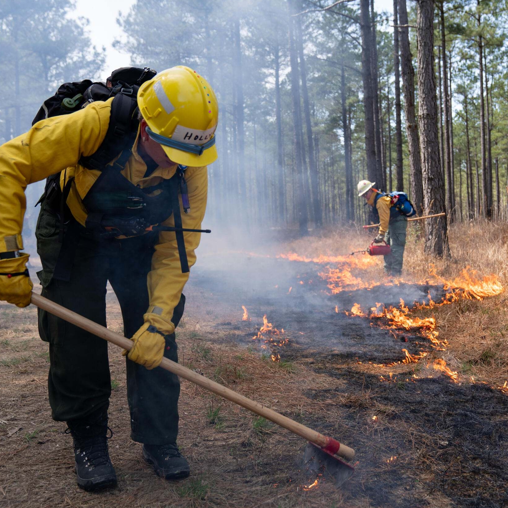 A firefighter manages a controlled burn in a forest.