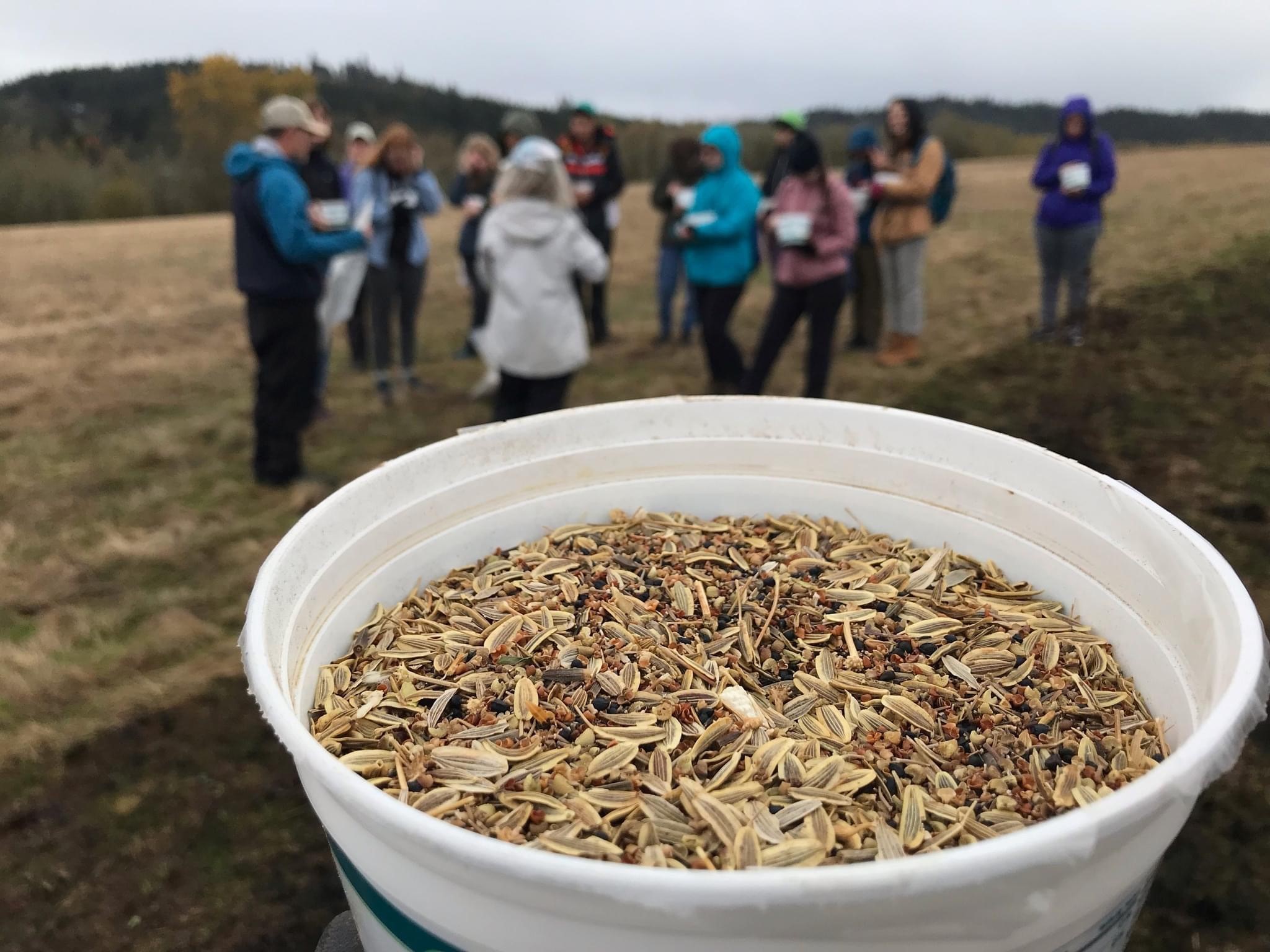 TNC Oregon volunteers are at Willow Creek getting ready to plant seeds.