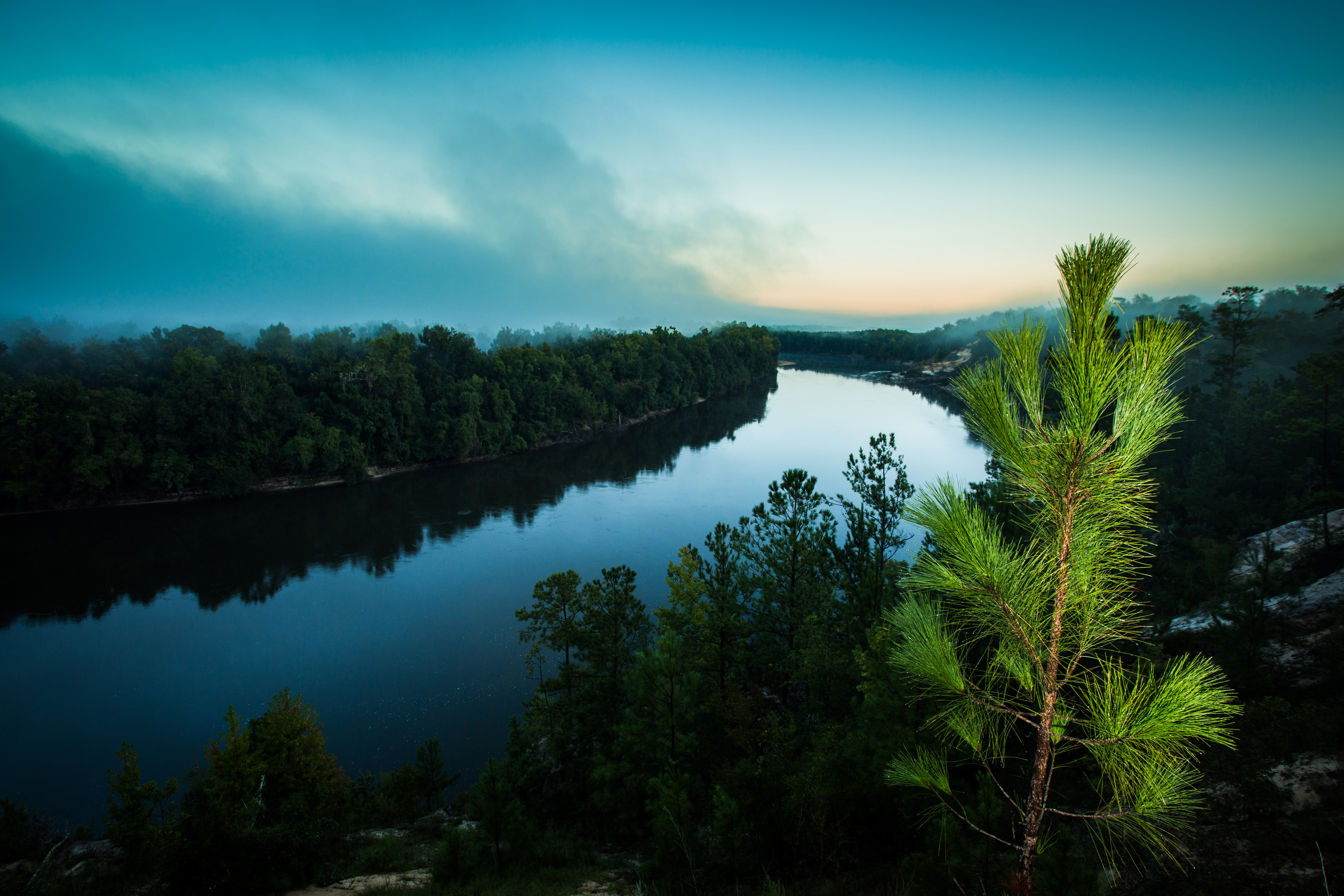 View from Alum Bluff at Apalachicola Bluffs and Ravines Preserve.