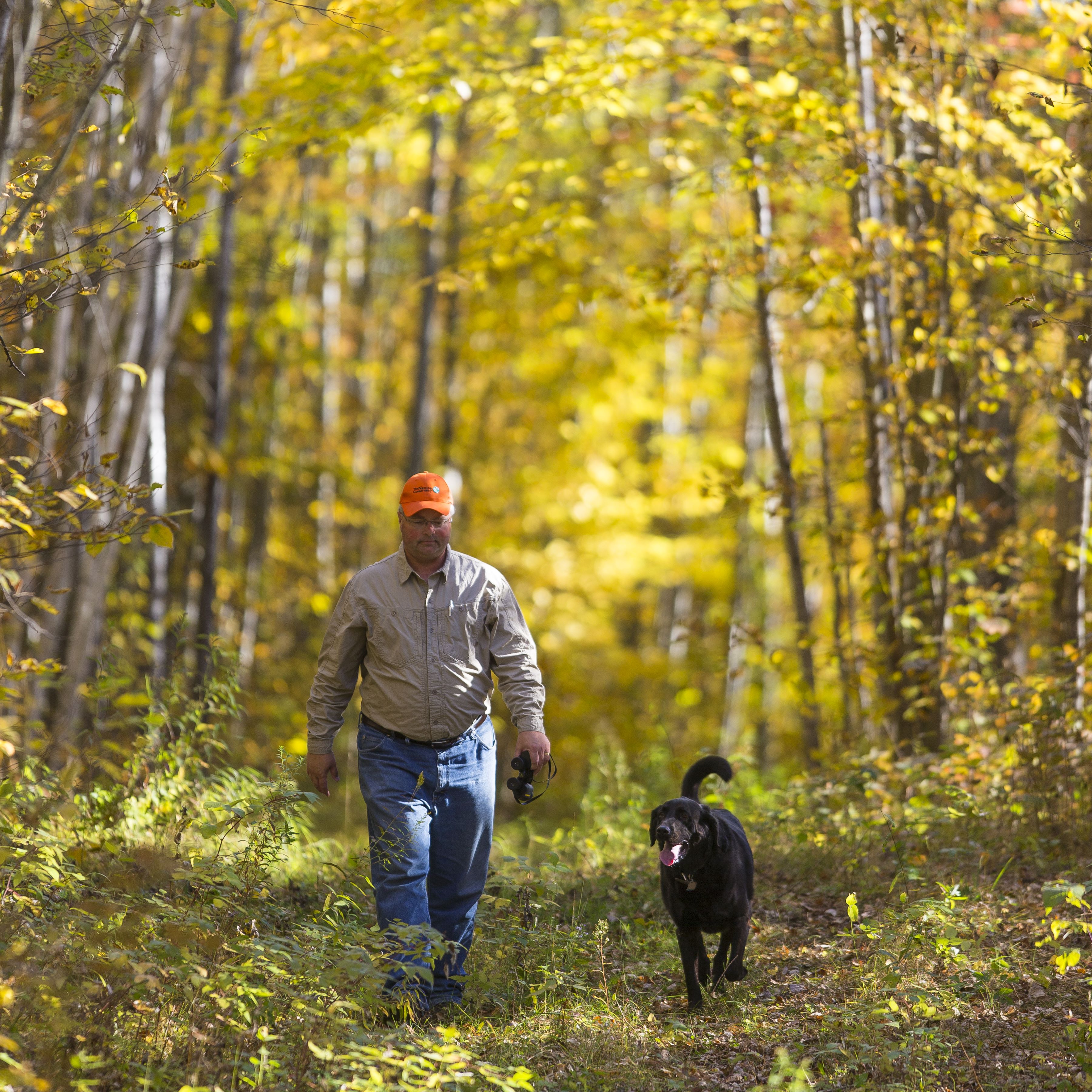 A man and his dog walking through an autumn woodland.