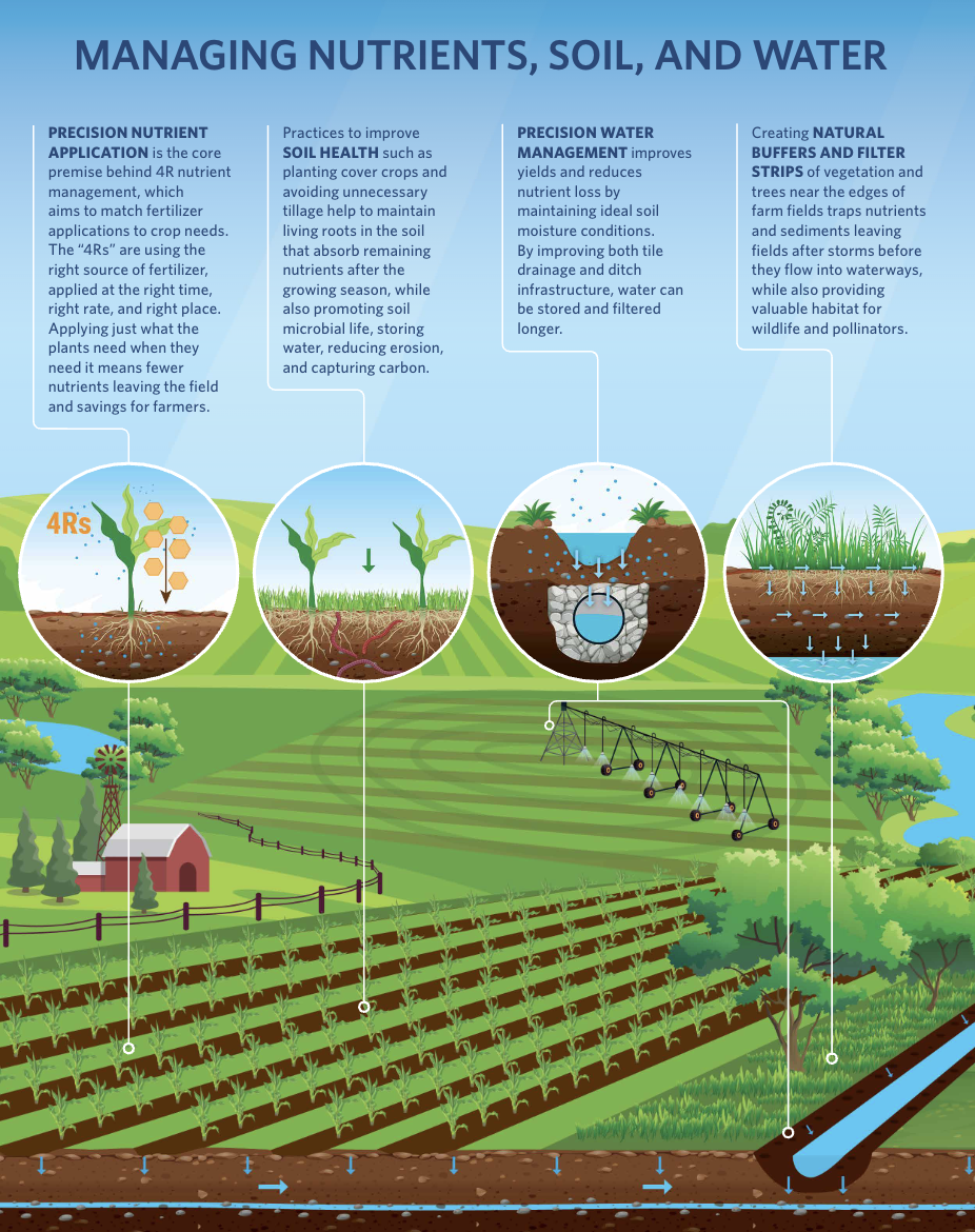 Thumbnail of a factsheet titled Regenerative Agriculture Food-Clean Water-Climate. The header shows a field of tall green leafy plants. Six round silver silos squat on the horizon.