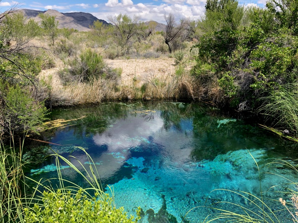 A blue and turquoise spring in the desert.