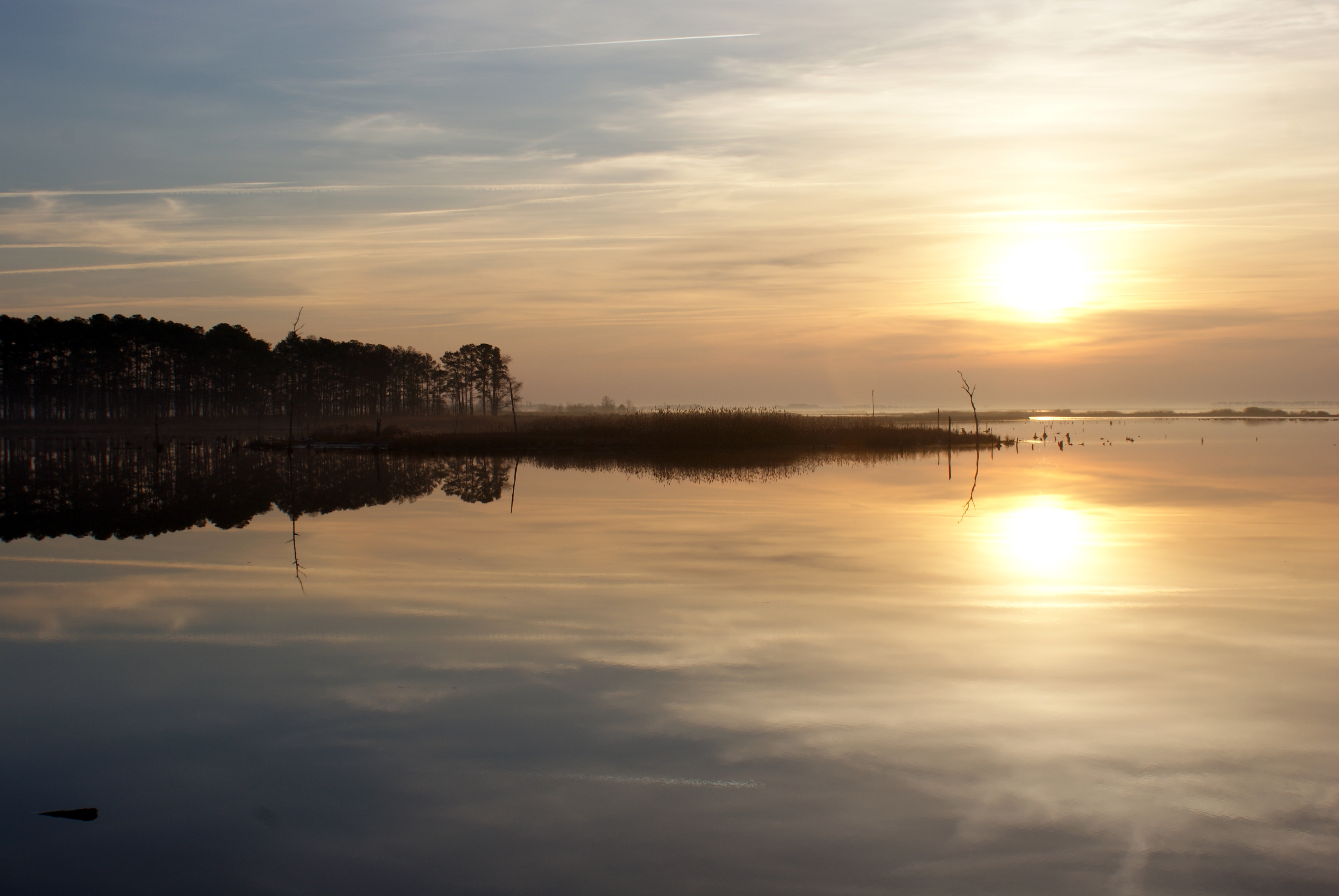 The setting sun and tall pine trees are reflected in the calm water of the Blackwater River.