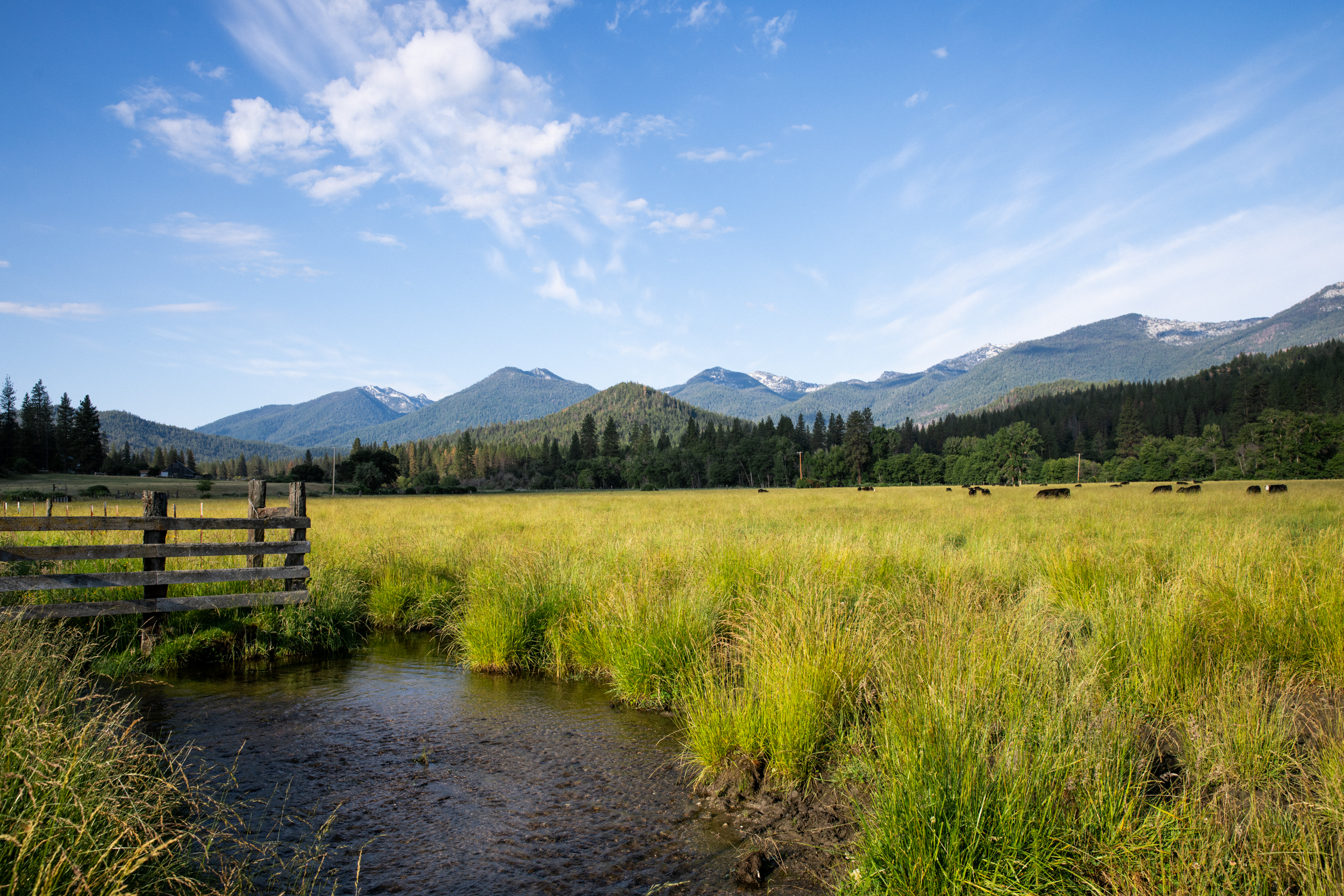 Miners Creek Ranch