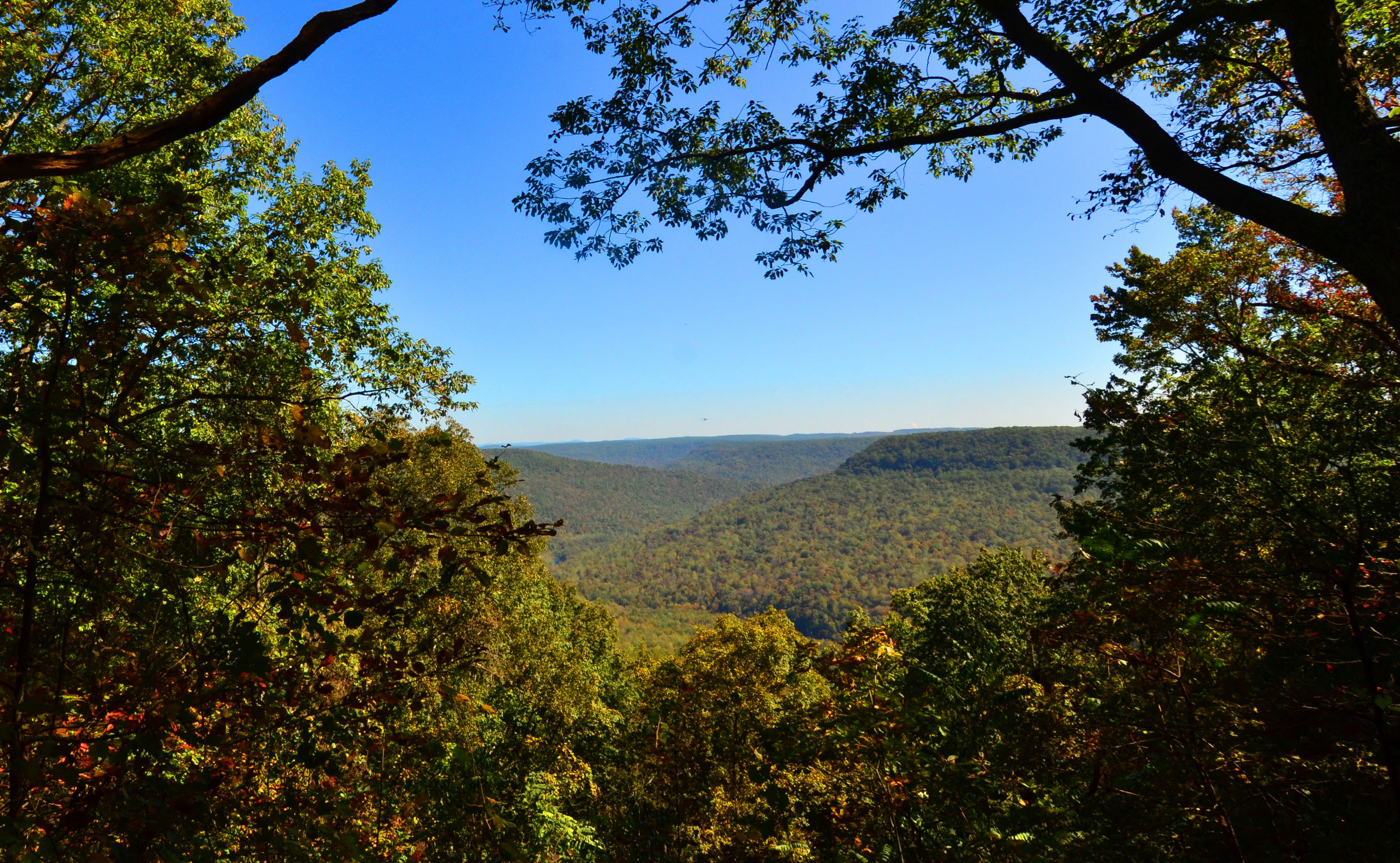 Trees frame a valley view and clear blue sky.