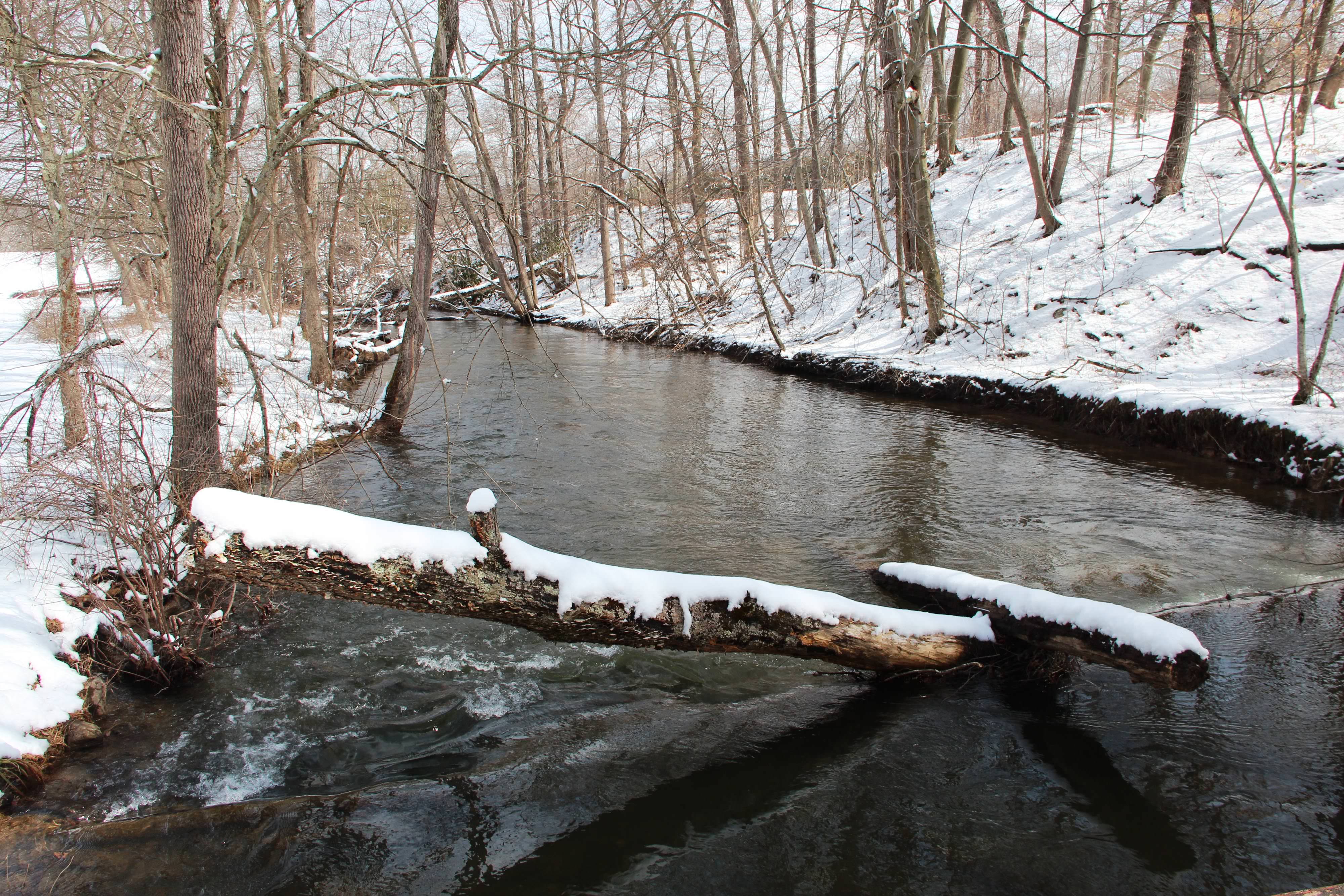 A wide stream flows between snow-covered banks. A fallen log rests at an angle with one end in the water.