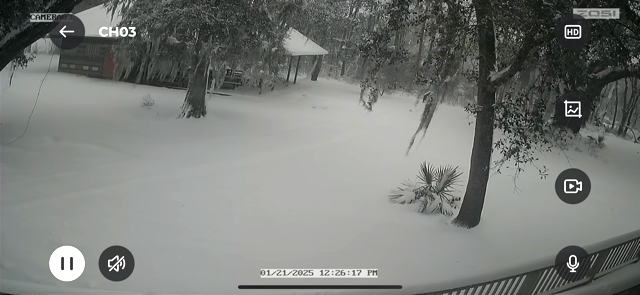 A webcam reveals a snowy landscape.