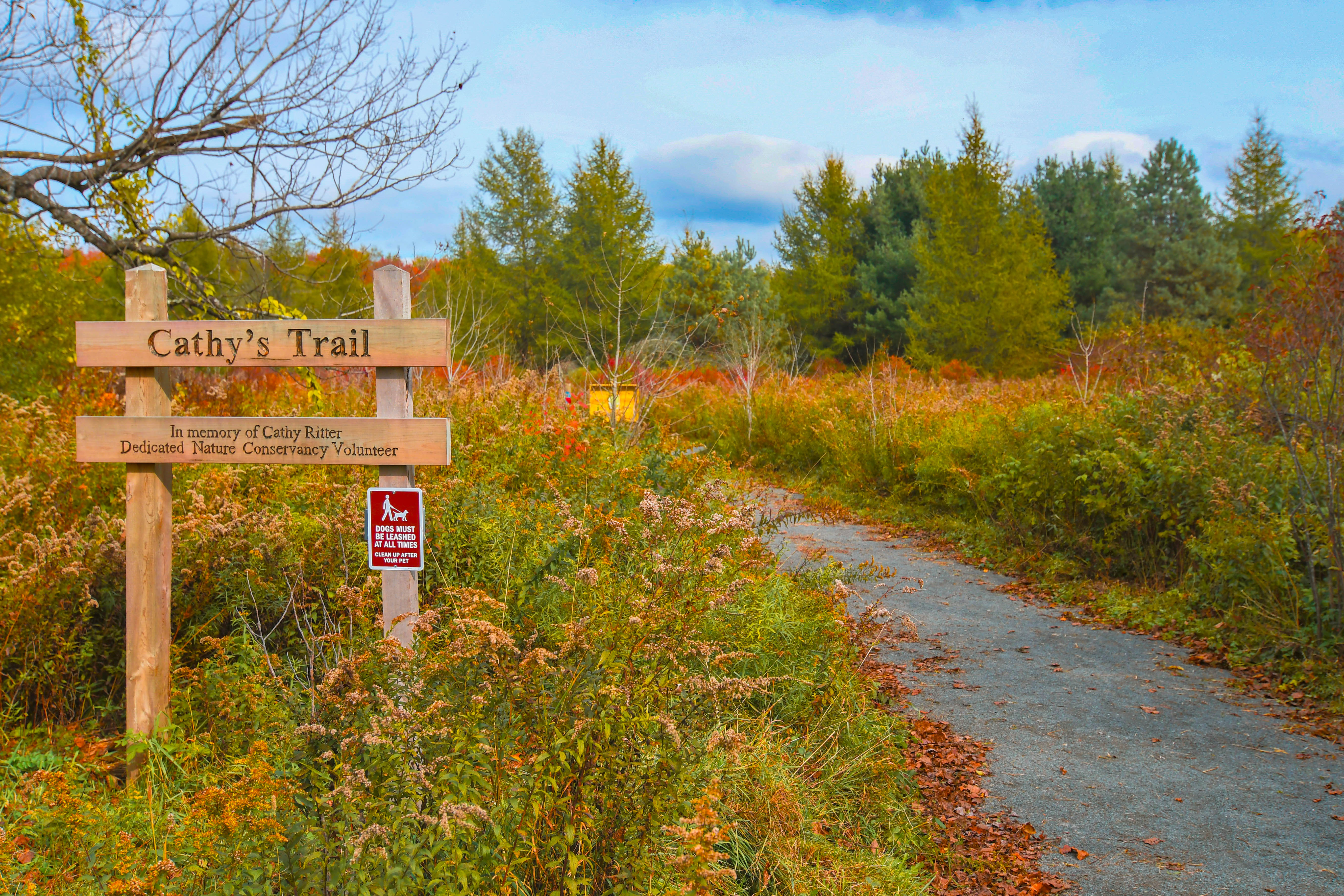 A wooden kisok sits at a trail entracne. 