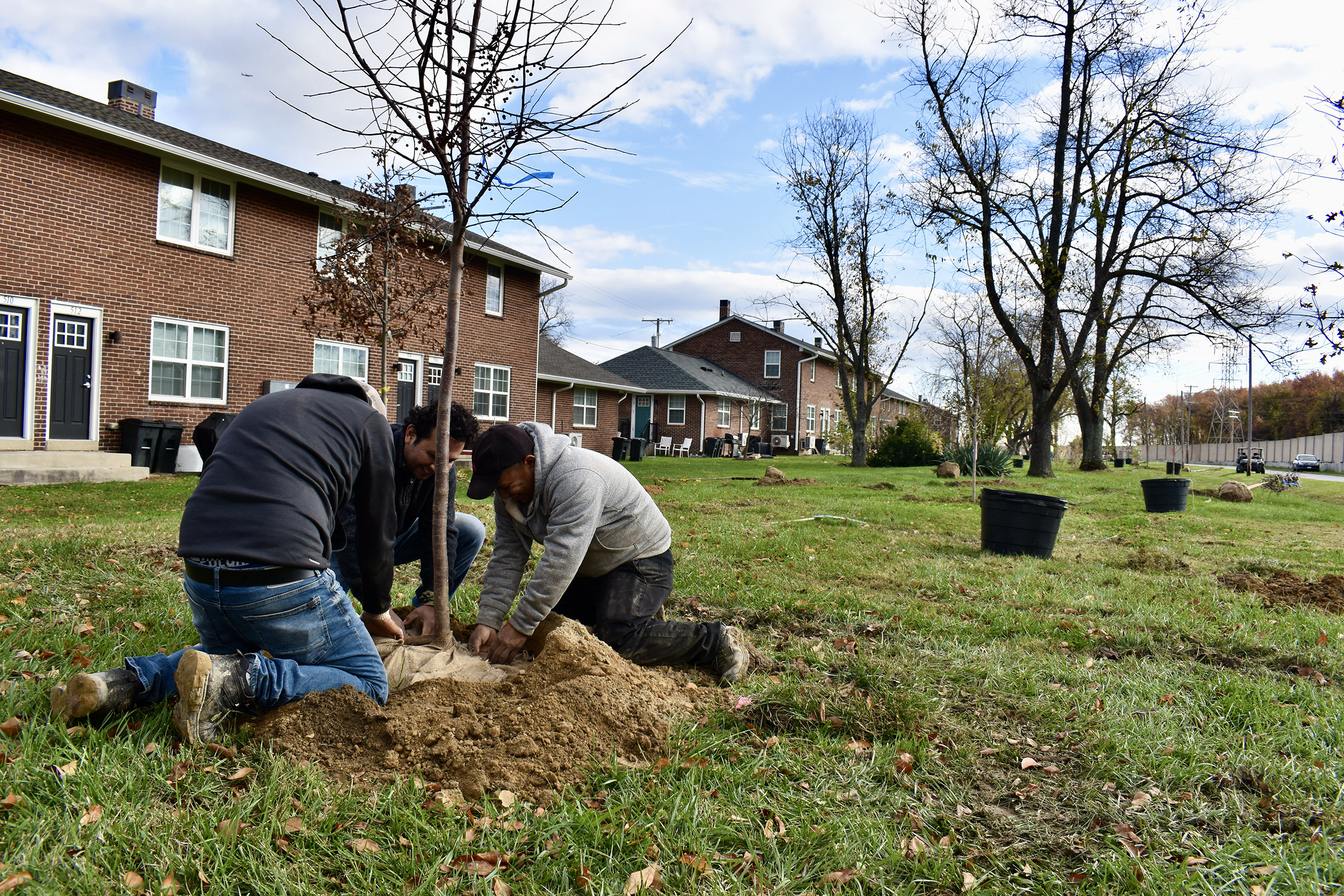 Three people plant a tree sapling.